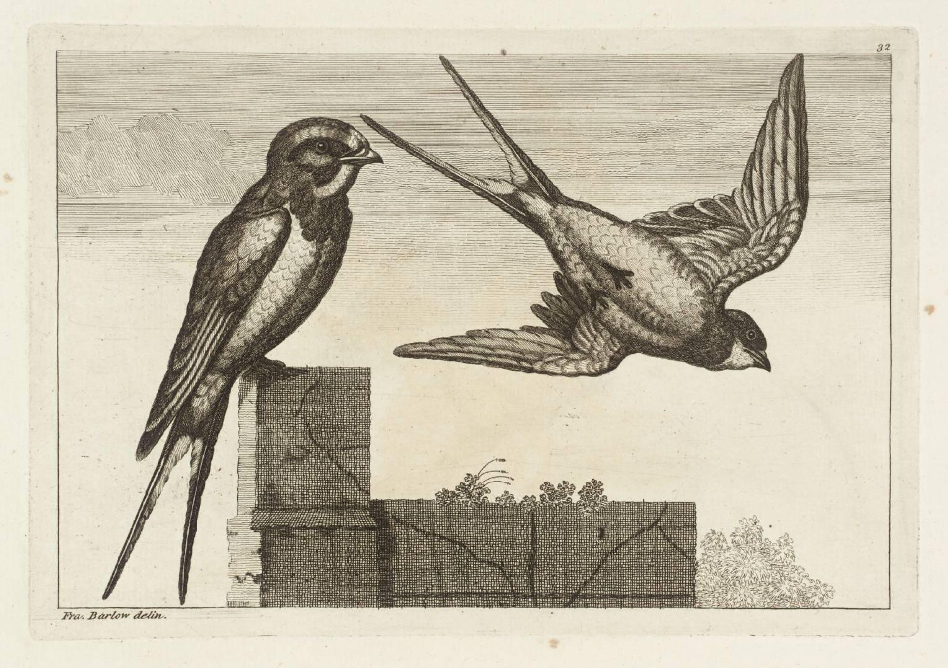 [title not known] by Francis Barlow