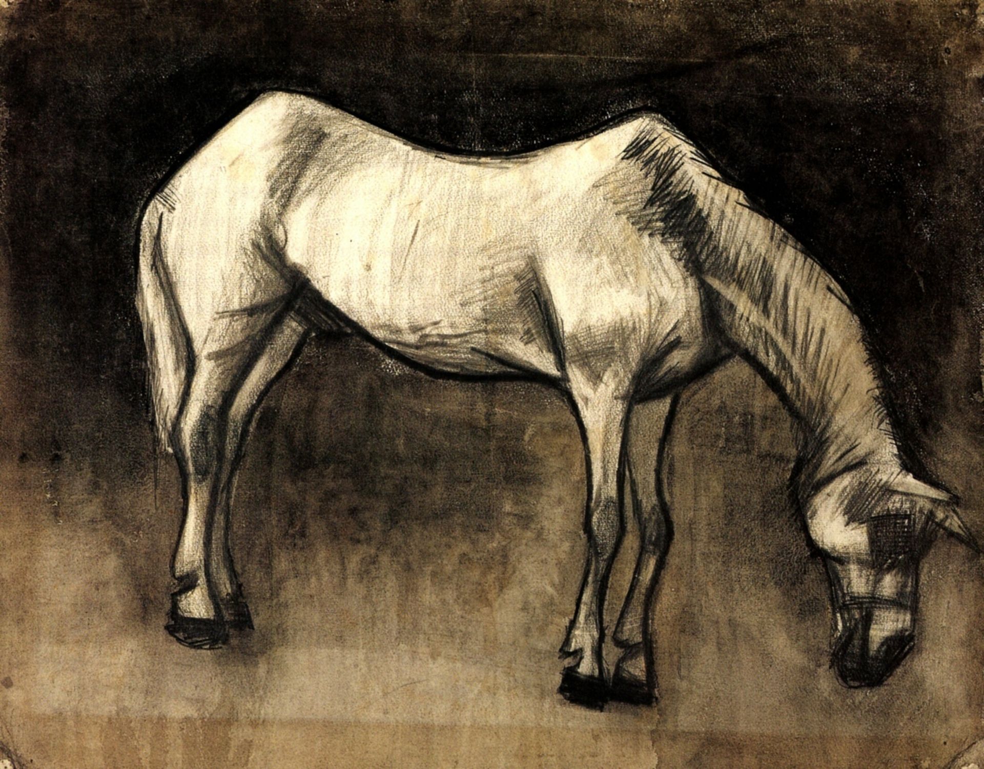 Old Nag by Vincent van Gogh