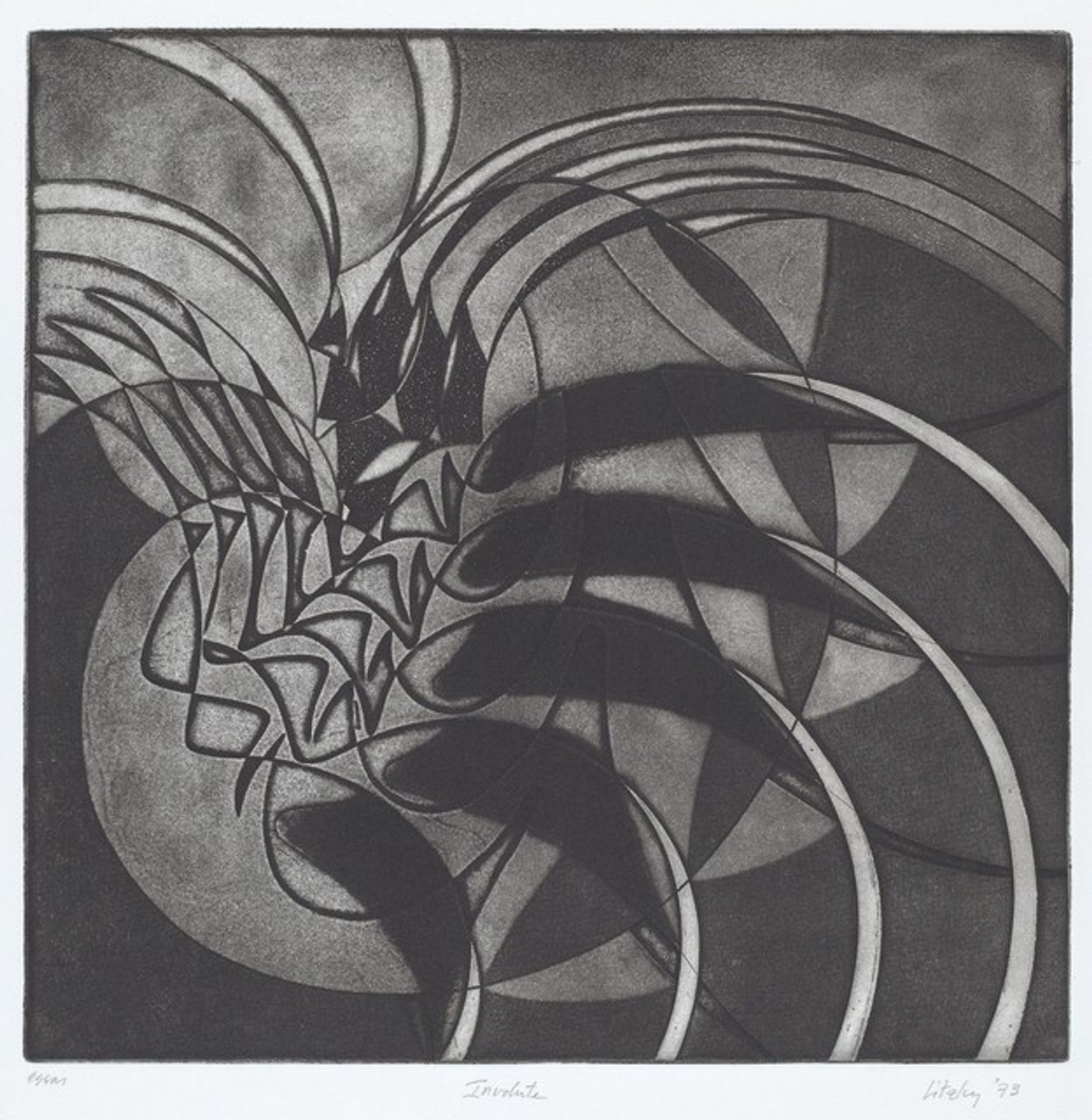 Involute by Paula Litzky