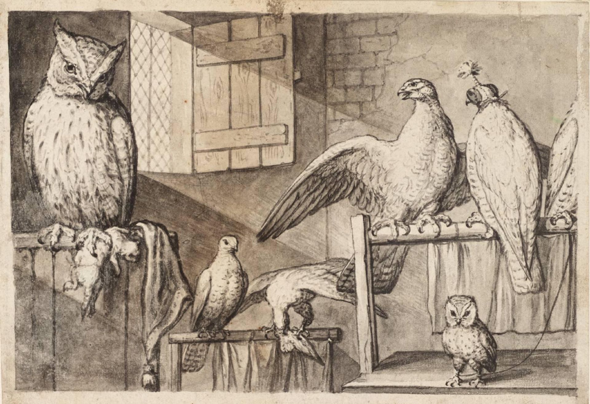Hawks and Owls by Francis Barlow