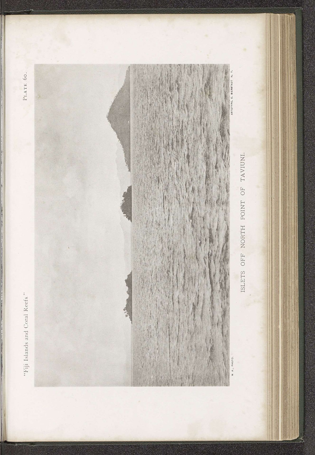 Gezicht op eilanden voor de kust van Taveuni by Maximilian Agassiz