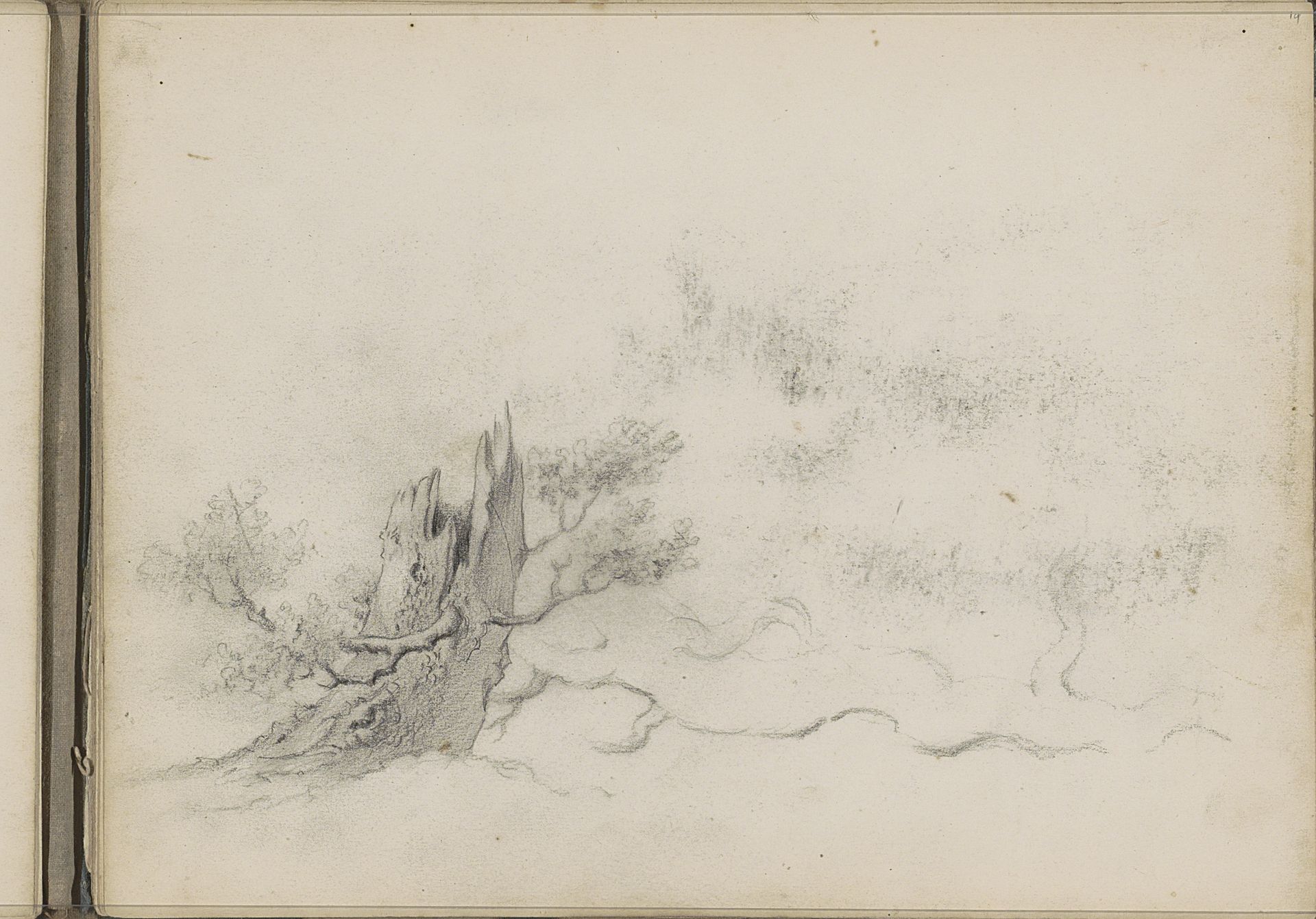 Boomstam by Willem Cornelis Rip