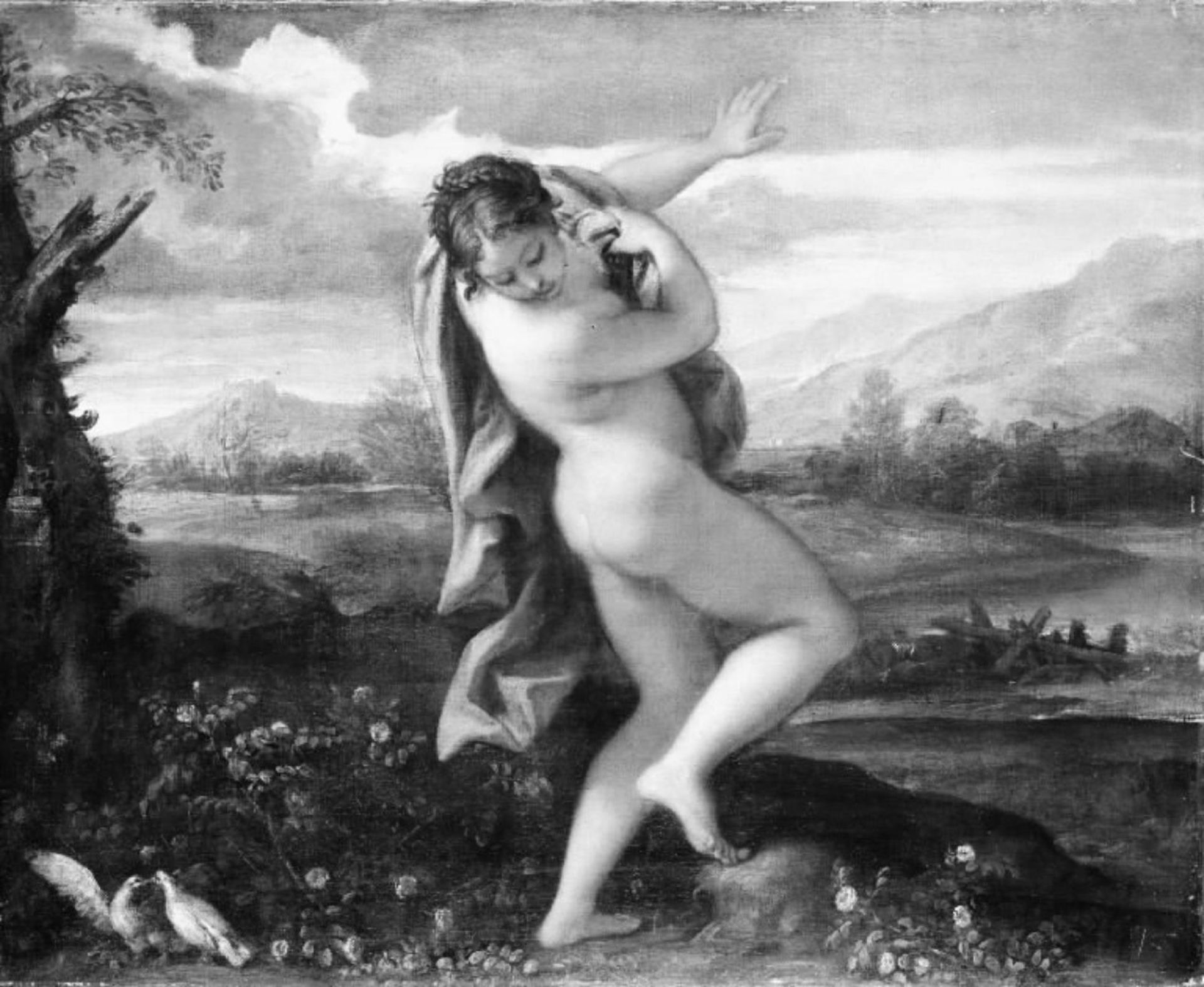 The Origin of the Red Rose by Carlo Maratti