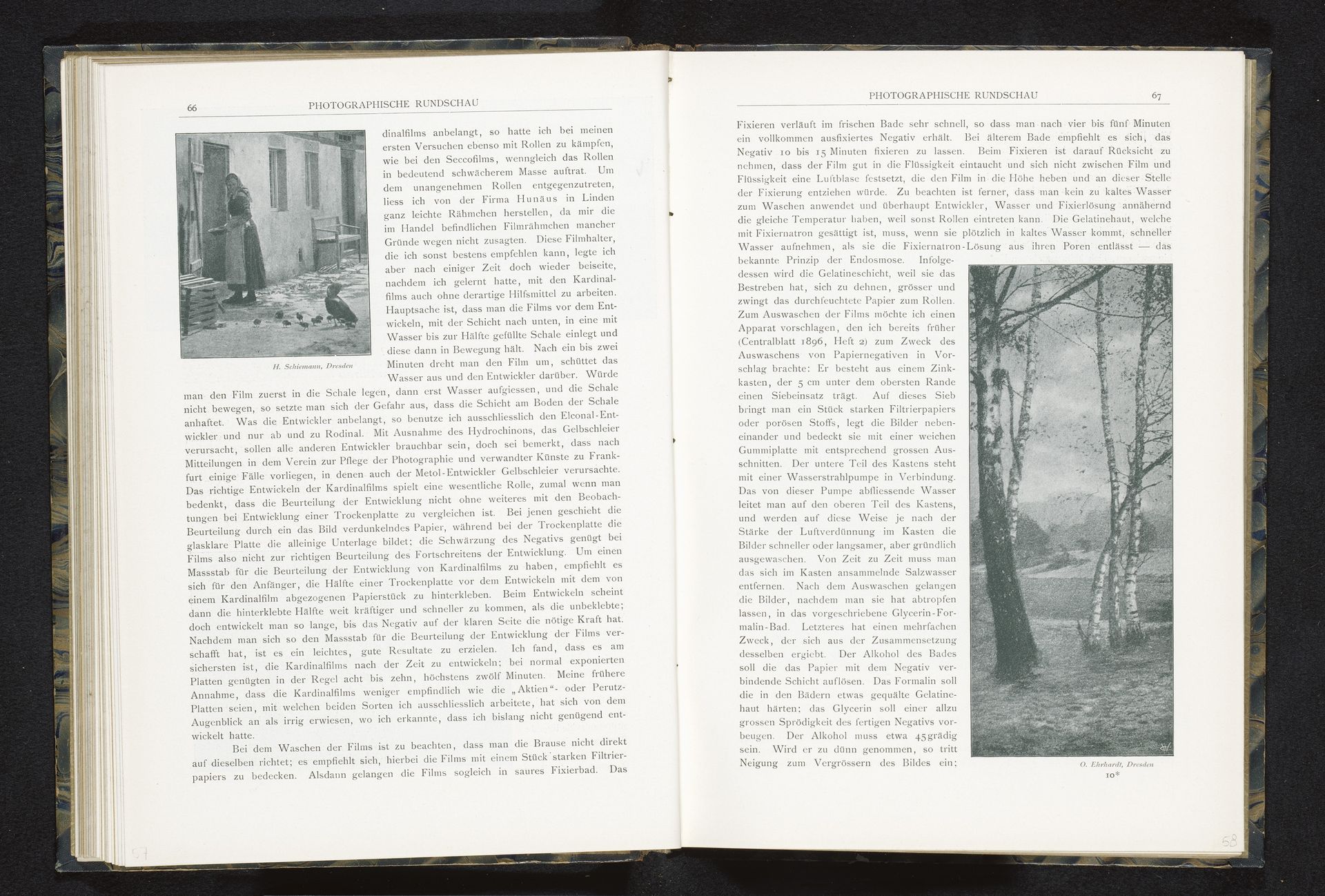 Gezicht op twee bomen in een landschap by Otto Ehrhardt
