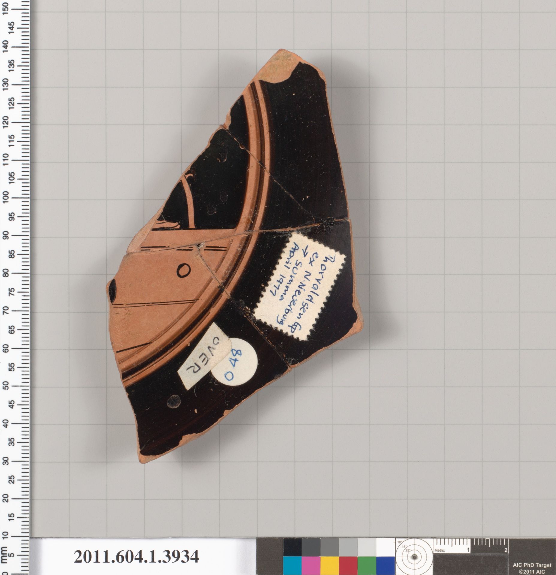 Terracotta fragment of a kylix (drinking cup) by Thorvaldsen Group