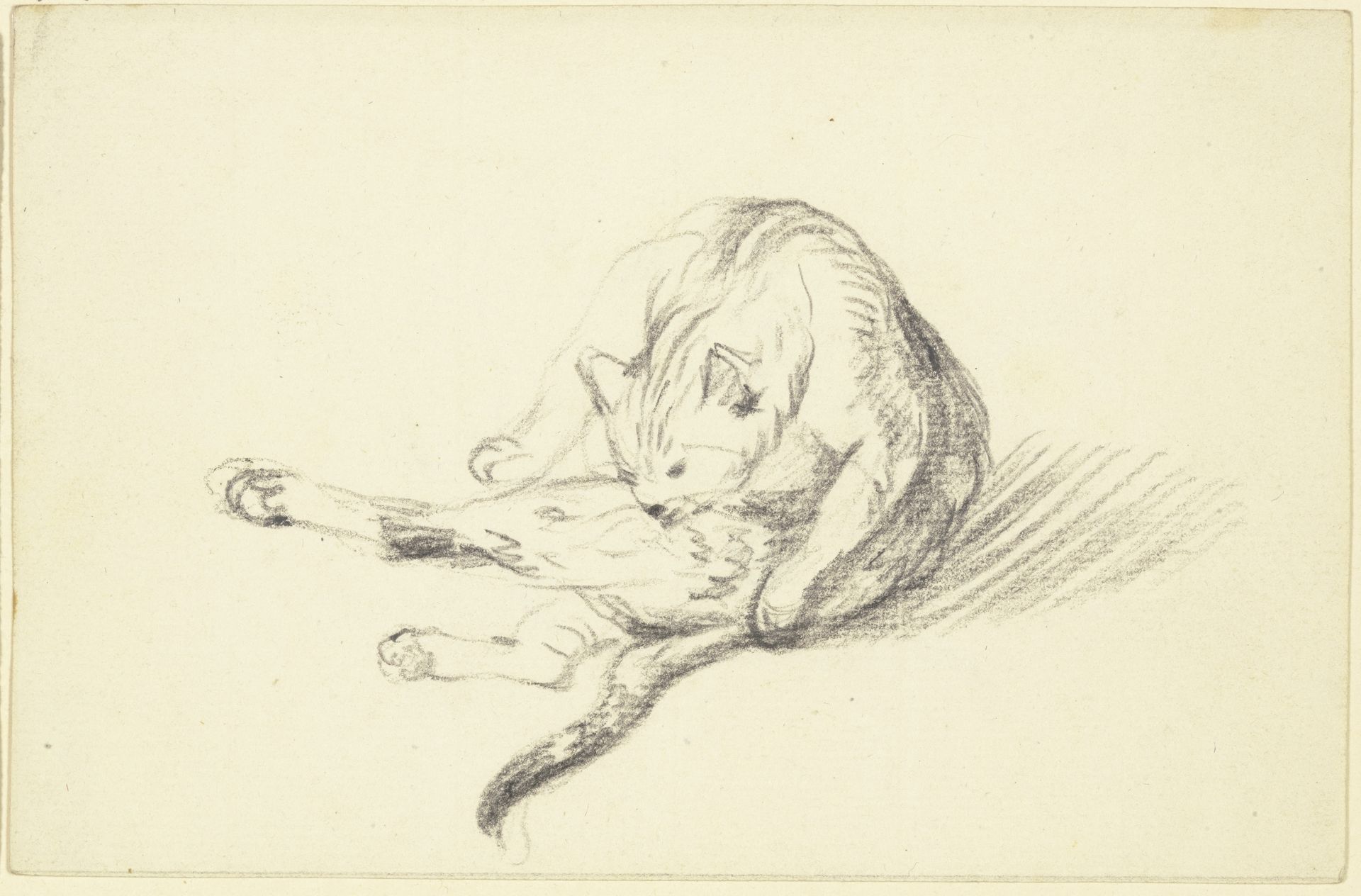 Grooming cat by Friedrich Wilhelm Hirt