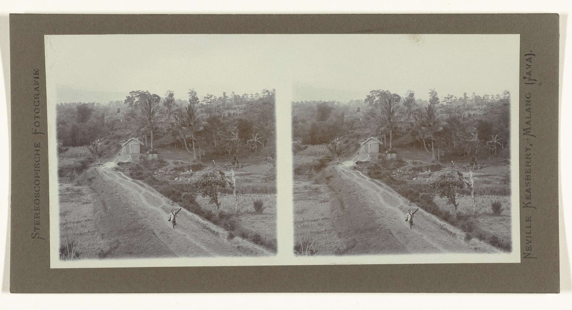 Landschap met palmbomen en een straatgezicht op Java. by Neville Keasberry