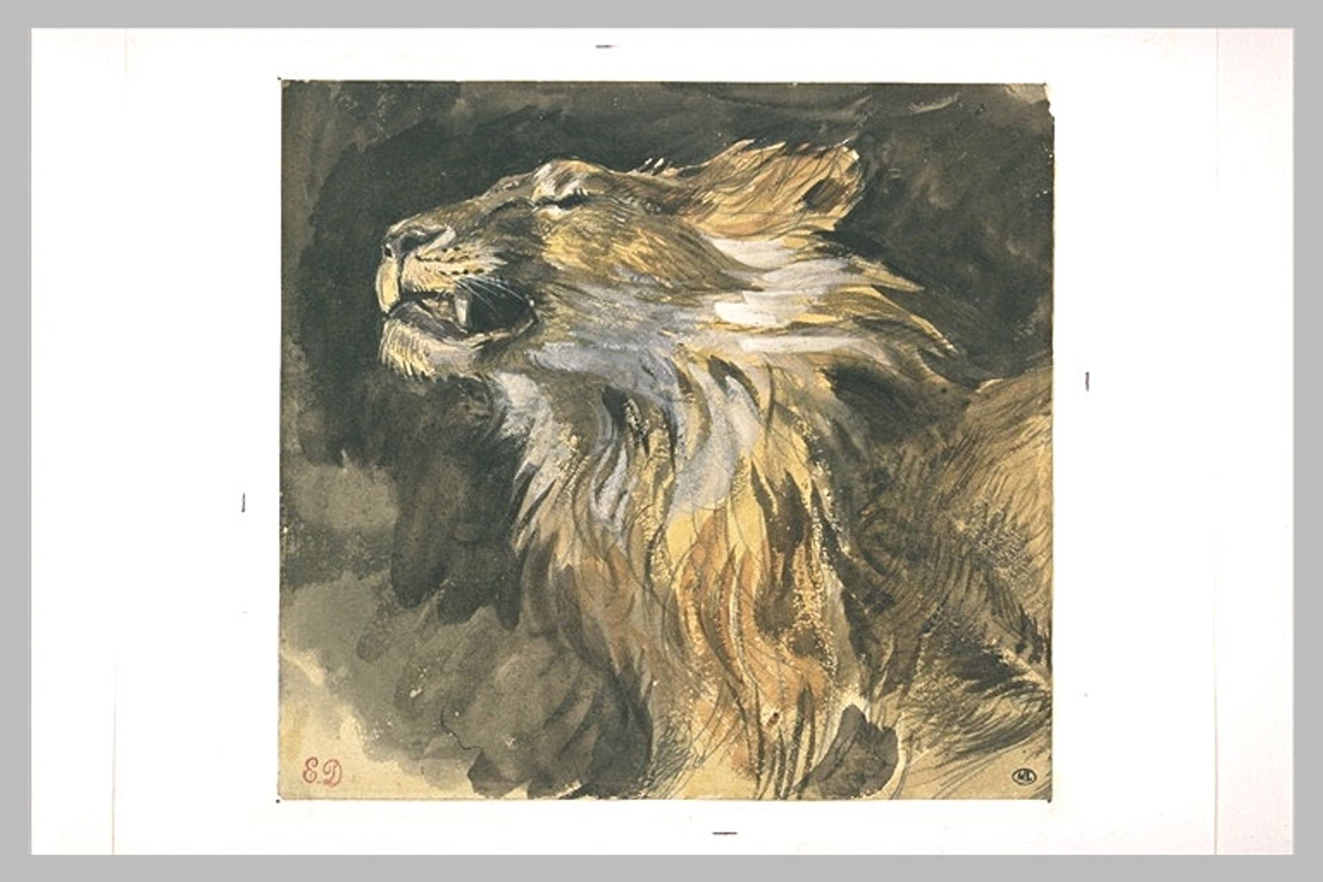 Roaring lion's head by Eugène Delacroix