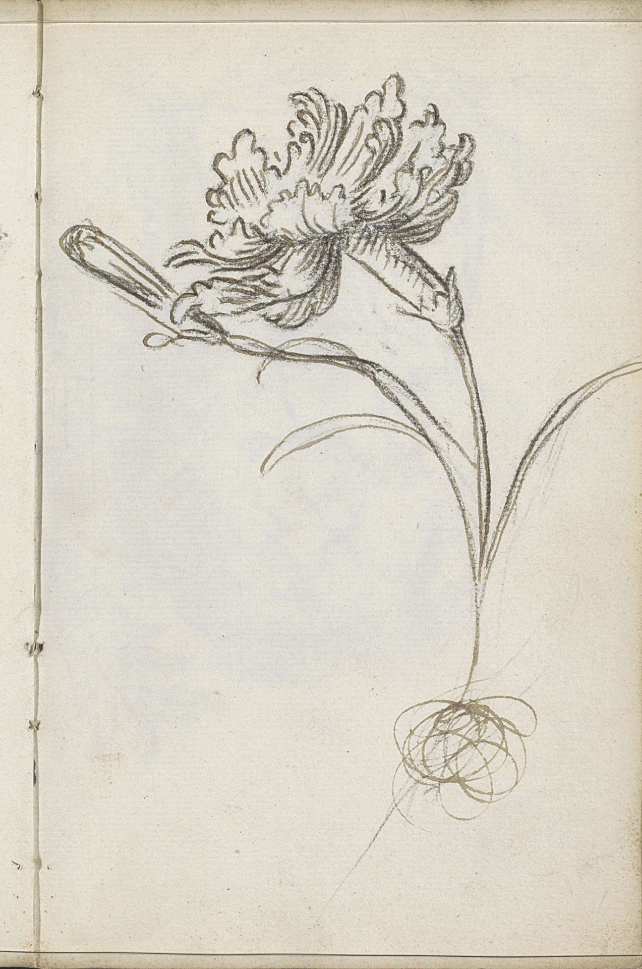 Bloemen by Petrus Johannes van Reysschoot