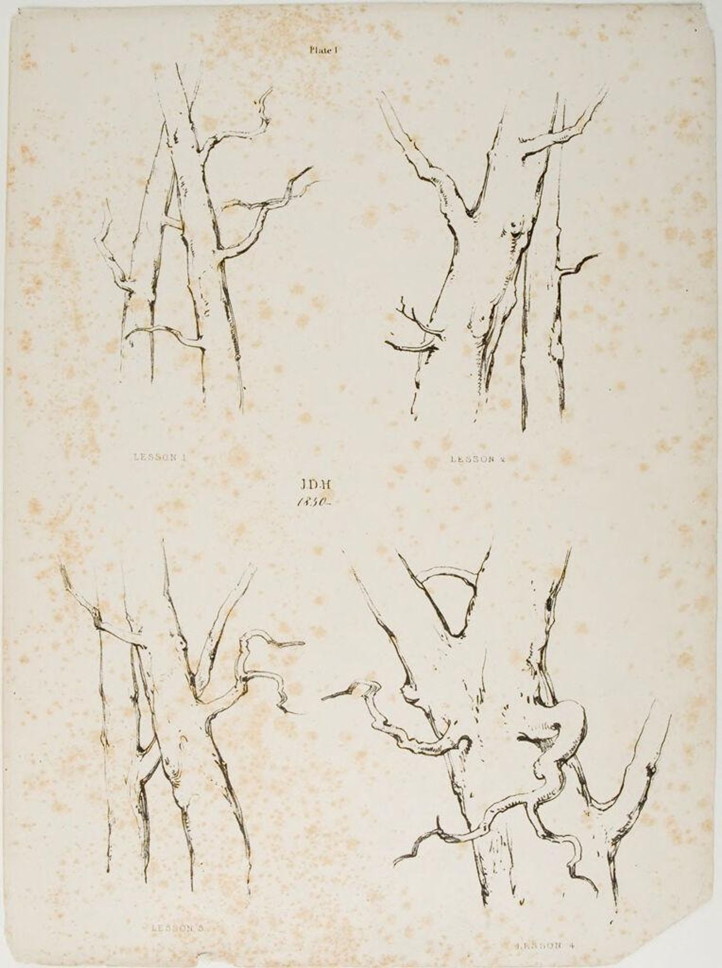 Lessons on Trees, plate 1 by James Duffield Harding