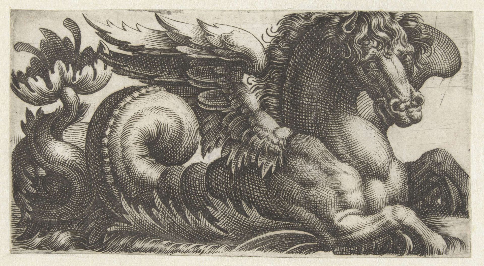 Gevleugeld zeepaard met aan het einde van zijn staart een open blad waaruit twee stampers steken by Giovanni Andrea Maglioli