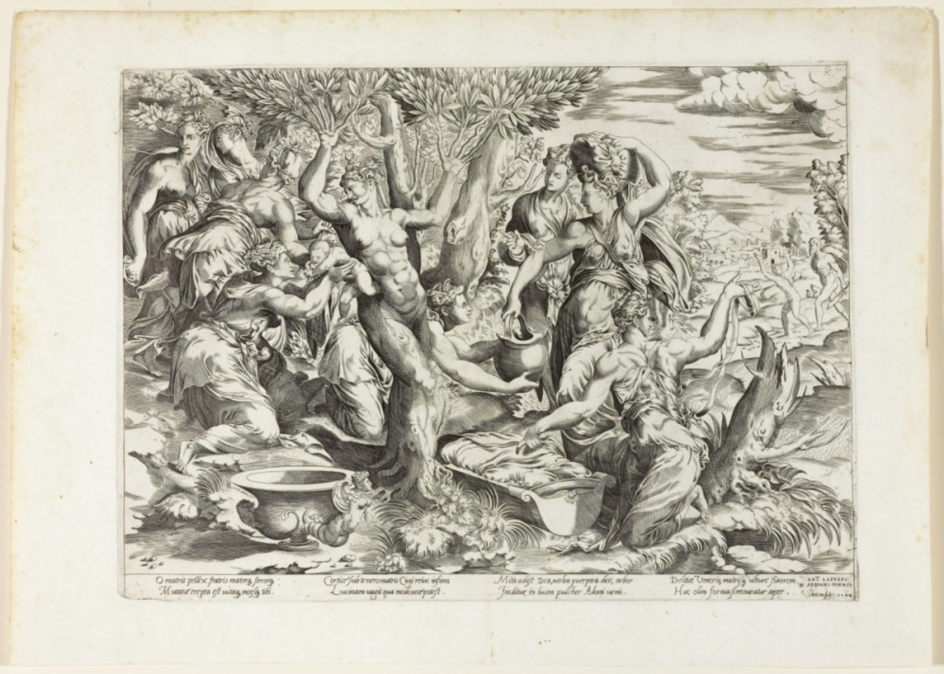 Naissance d'Adonis by Francesco de' Rossi (Francesco Salviati), "Cecchino"