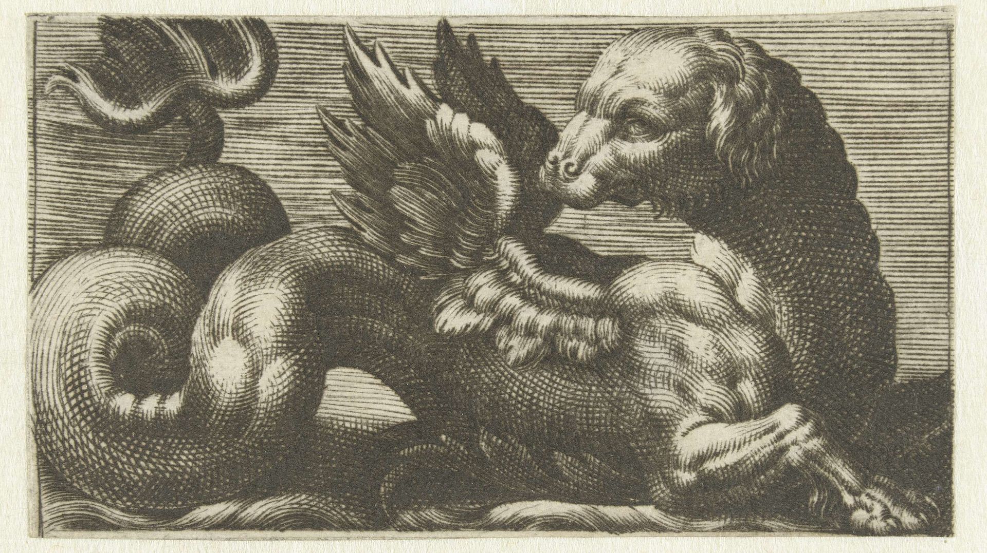 Gevleugeld zeemonster met een hondenkop by Anonymous