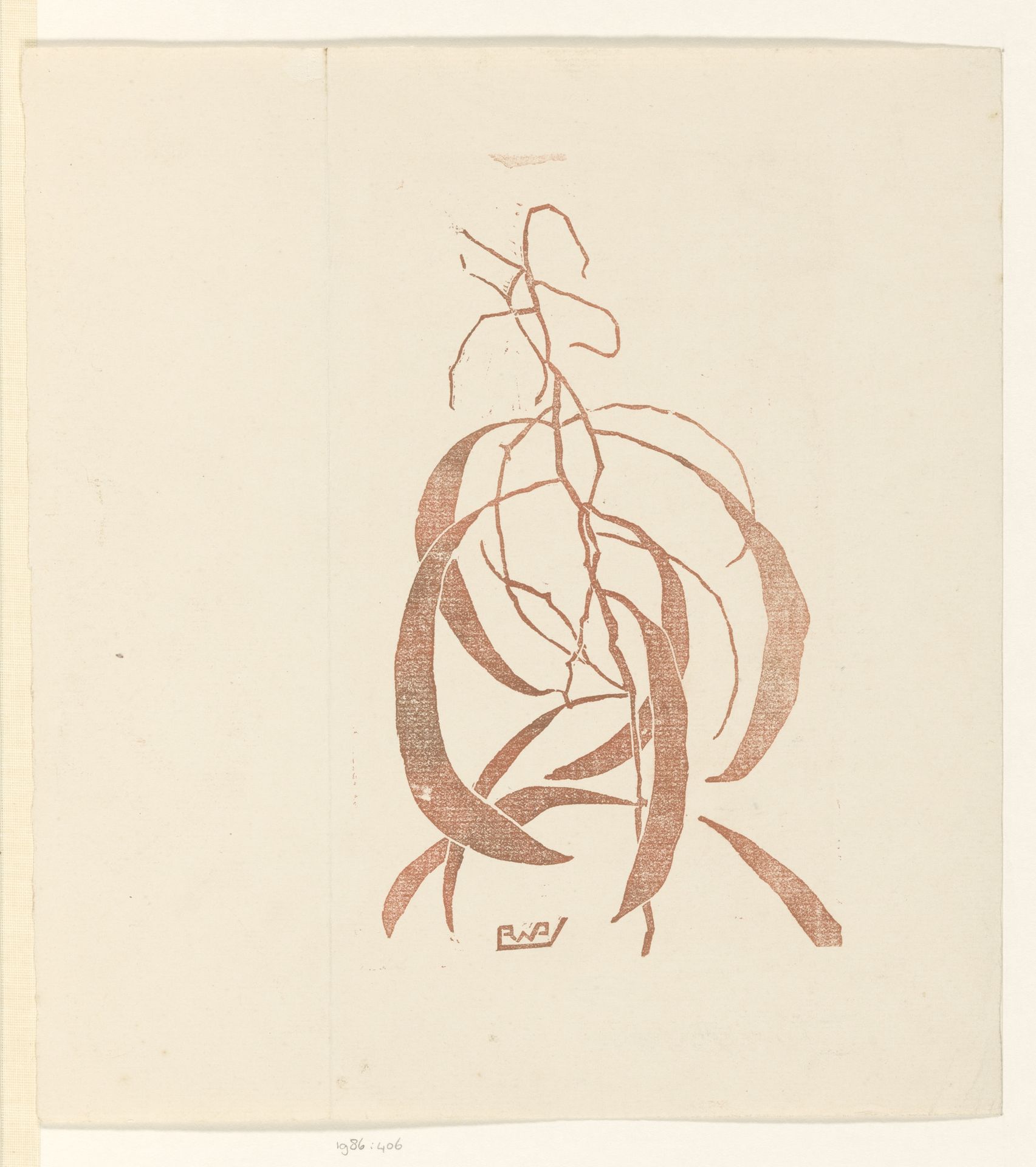 Tak van een eucalyptusboom by Reinier Willem Petrus de (1874-1952) Vries