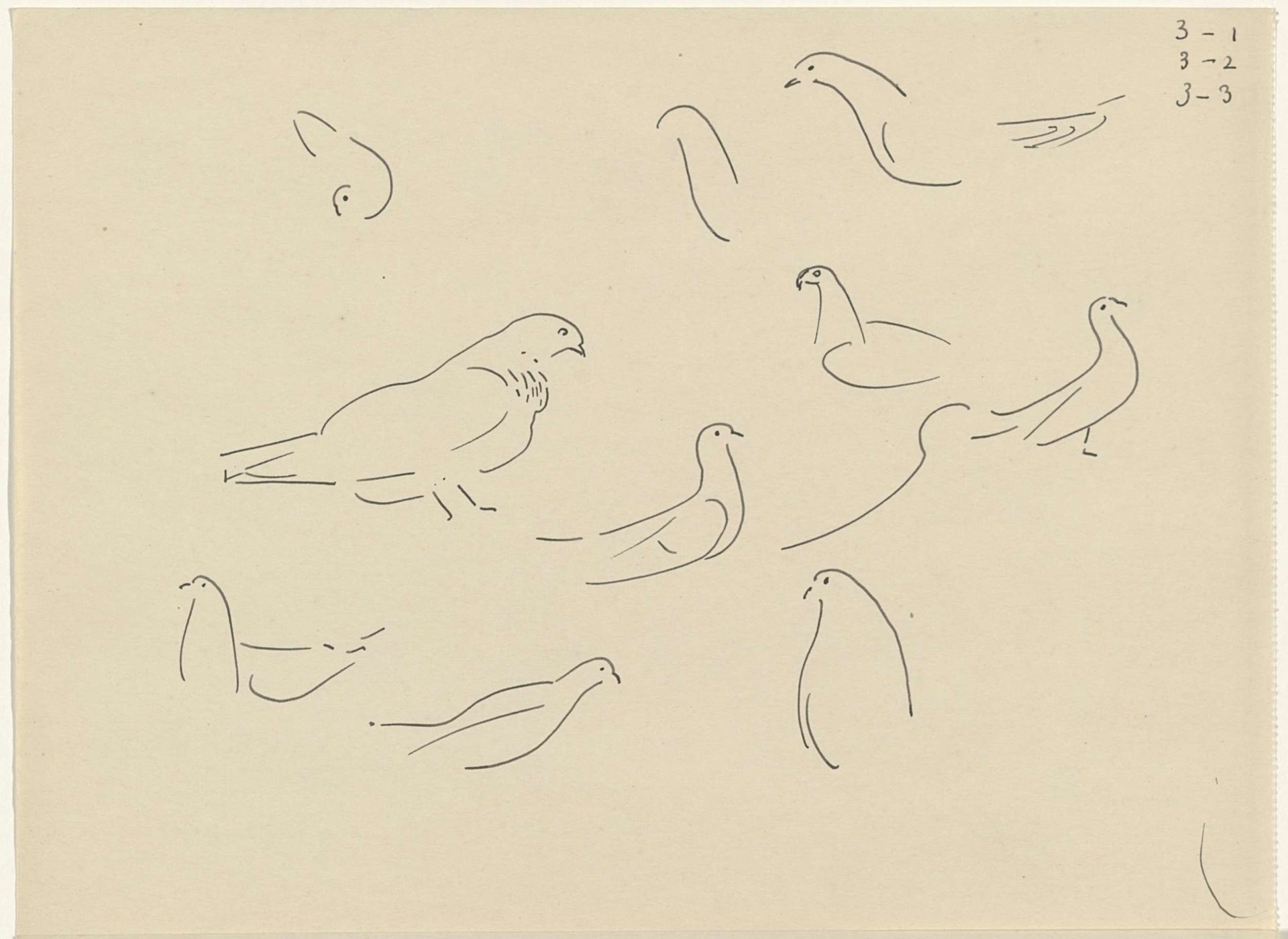 Studies van duiven by Carel Adolph Lion Cachet