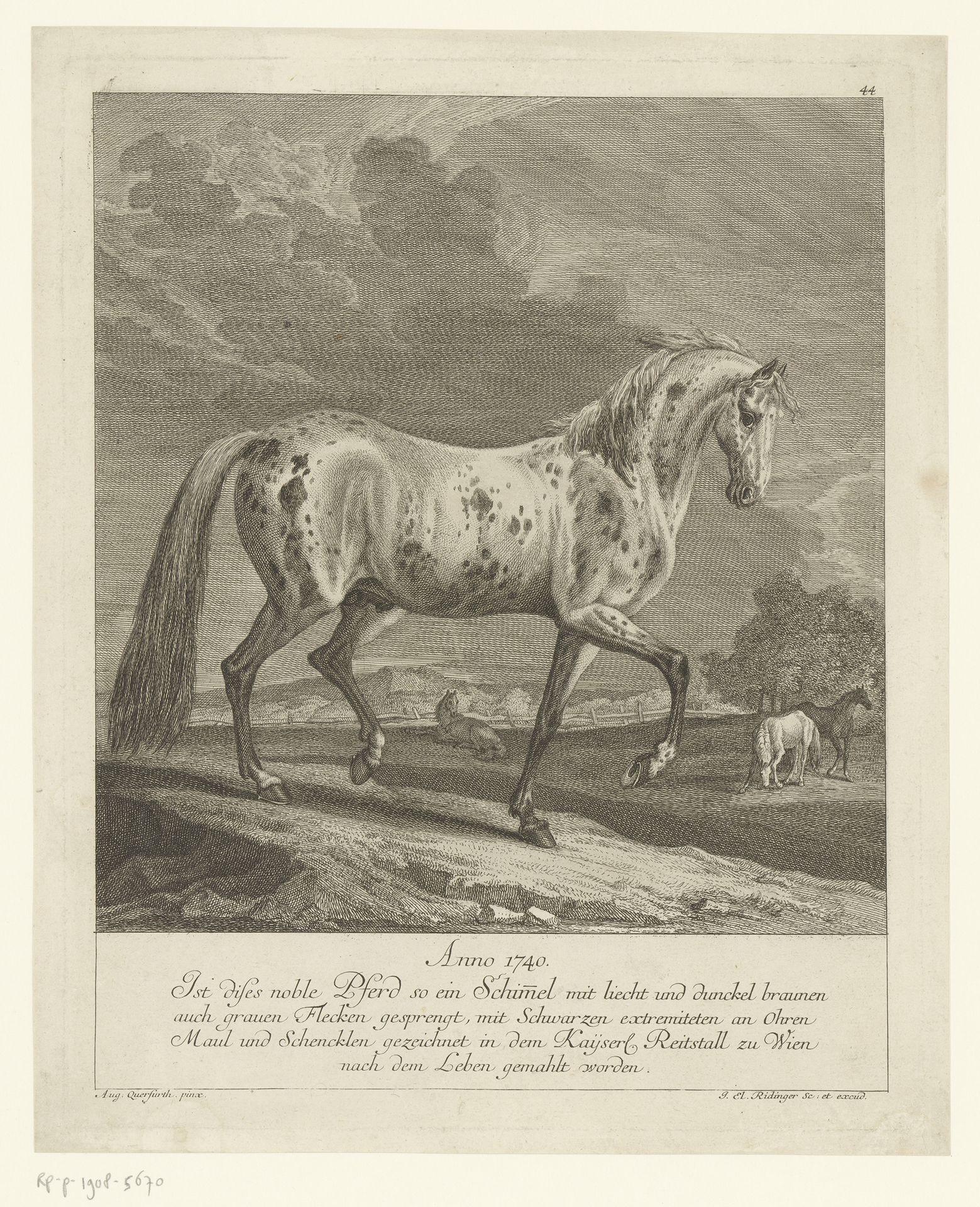Bijzonder paard by Johann Elias Ridinger
