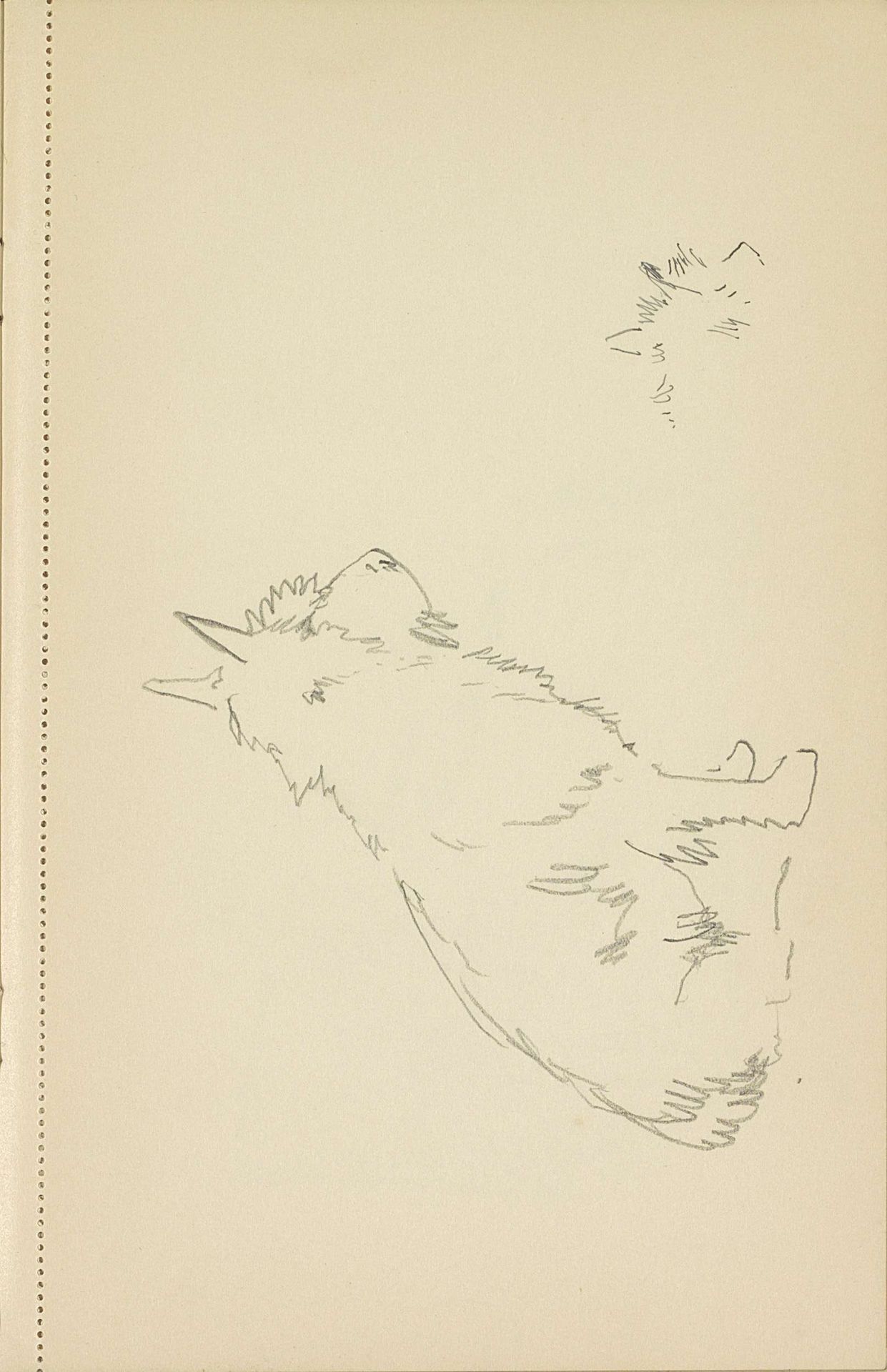 Zittende hond by Cornelis Vreedenburgh