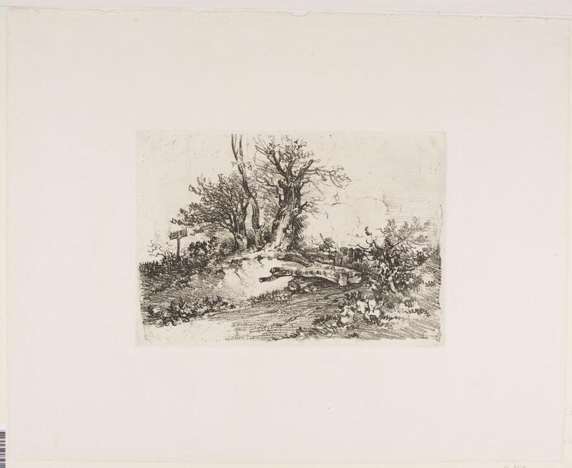 Trees on a Bank by John Crome