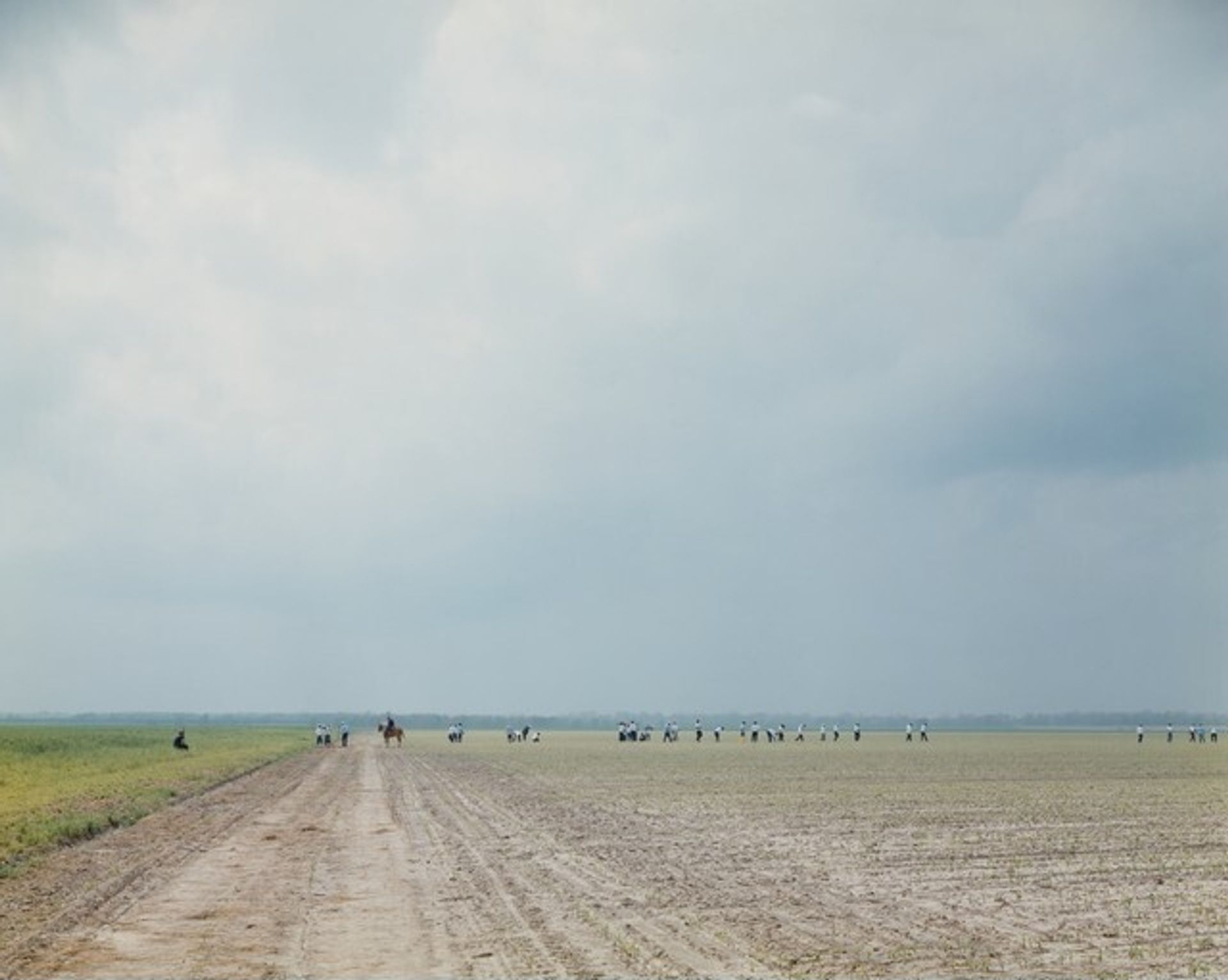 The Farm, Angola State Prison, Louisiana by Alec Soth