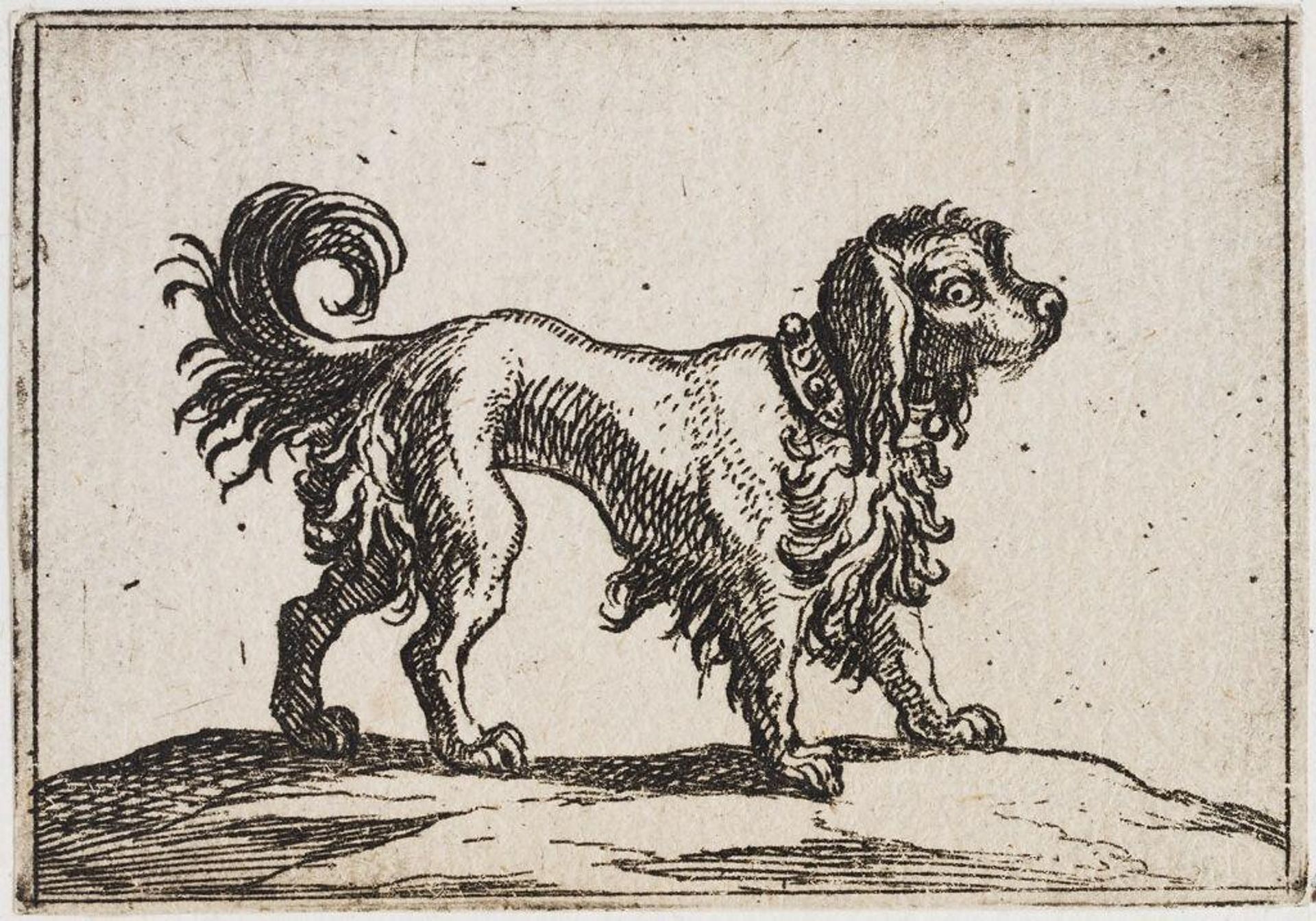 Standing Poodle Facing Right by Antonio Tempesta