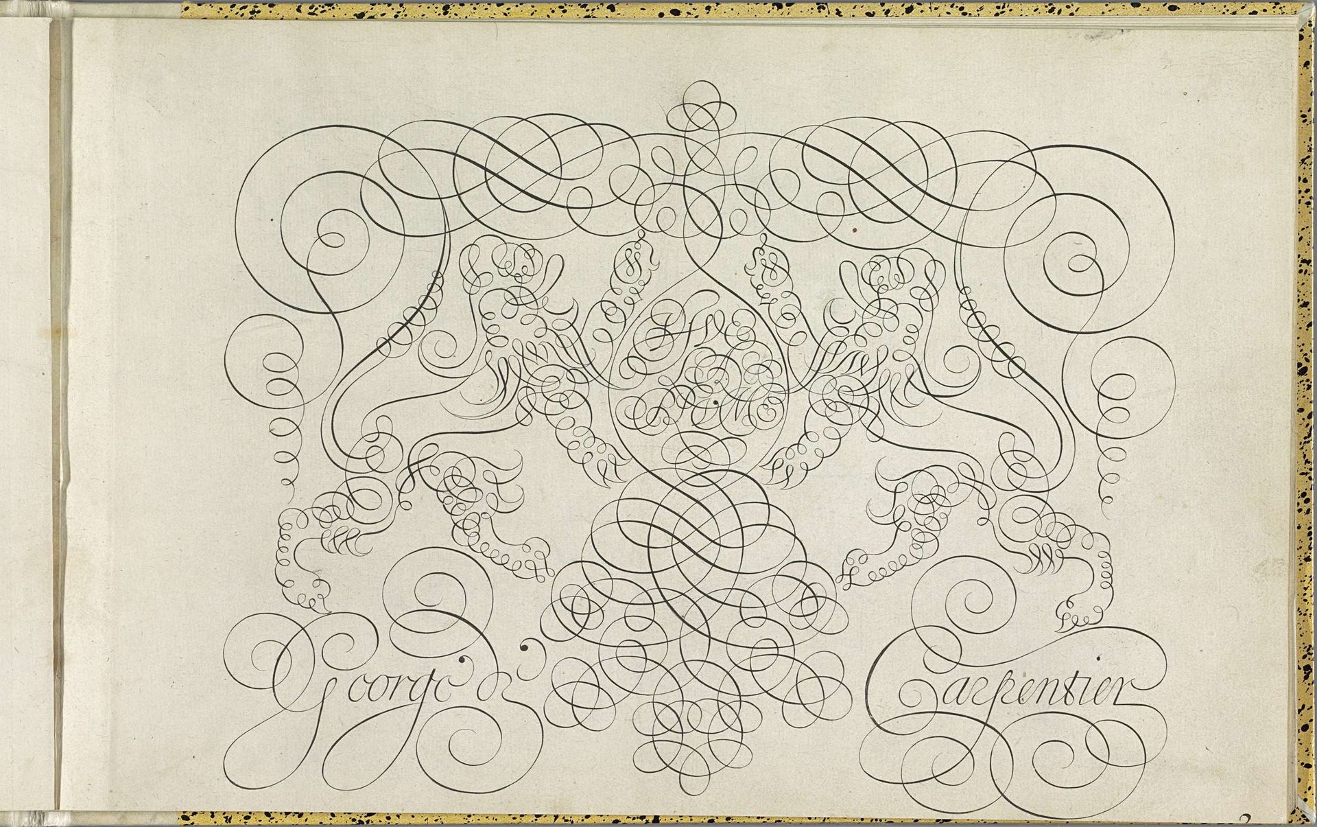 Schrijfvoorbeeld bestaande uit krullen met de tekst: Vive la plume by Lieven Willemsz. Coppenol