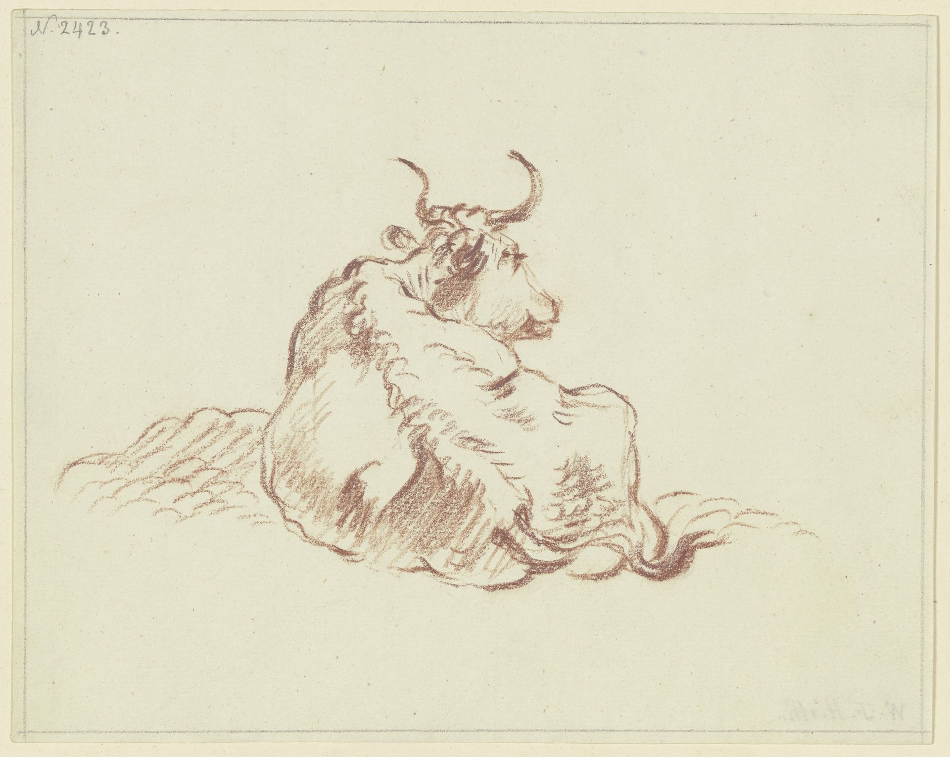 Liegendes Rind, in starker Verkürzung rückansichtig, den Kopf nach rechts gewandt by Friedrich Wilhelm Hirt