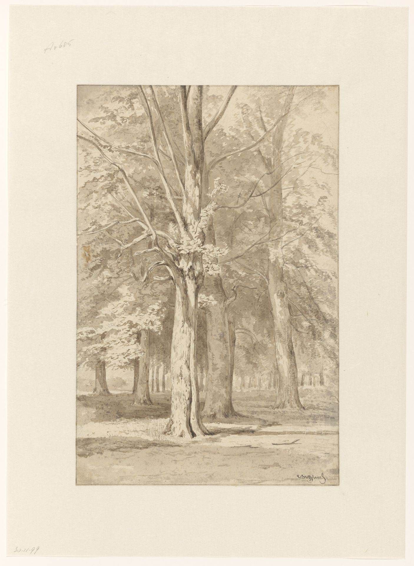 Bosgezicht by Cornelis Steffelaar