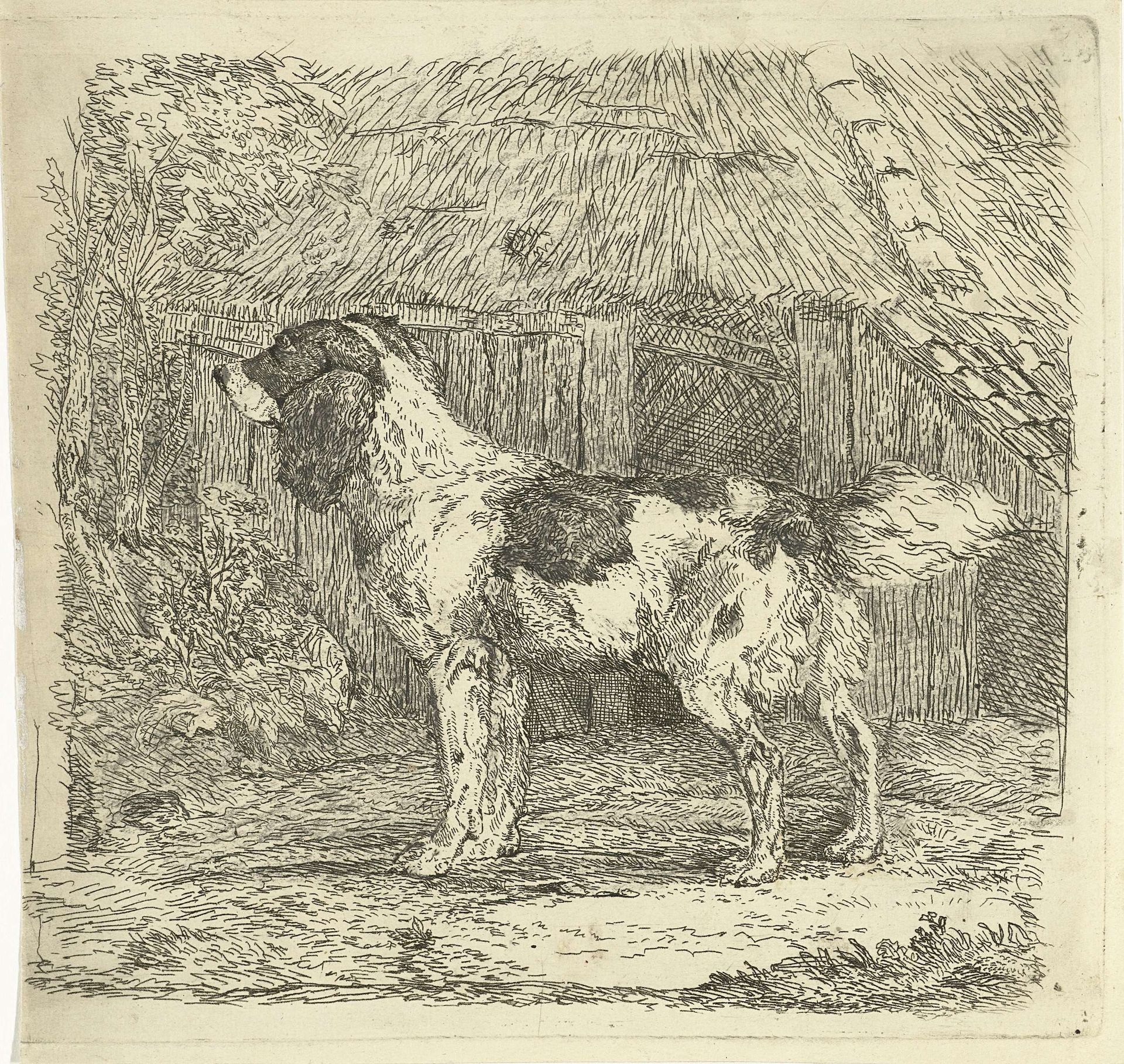 Hond staand bij hok by Jan Dasveldt
