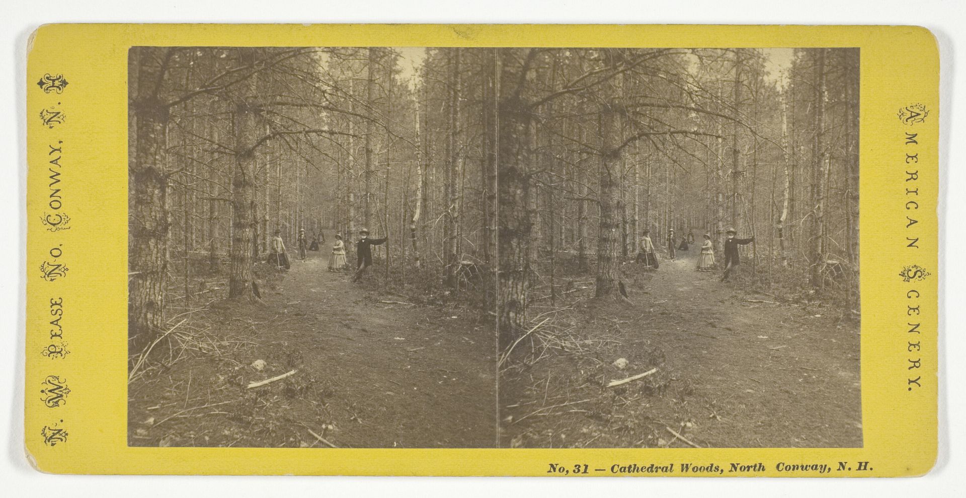 Cathedral Woods, North Conway, N.H. by N. W. Pease
