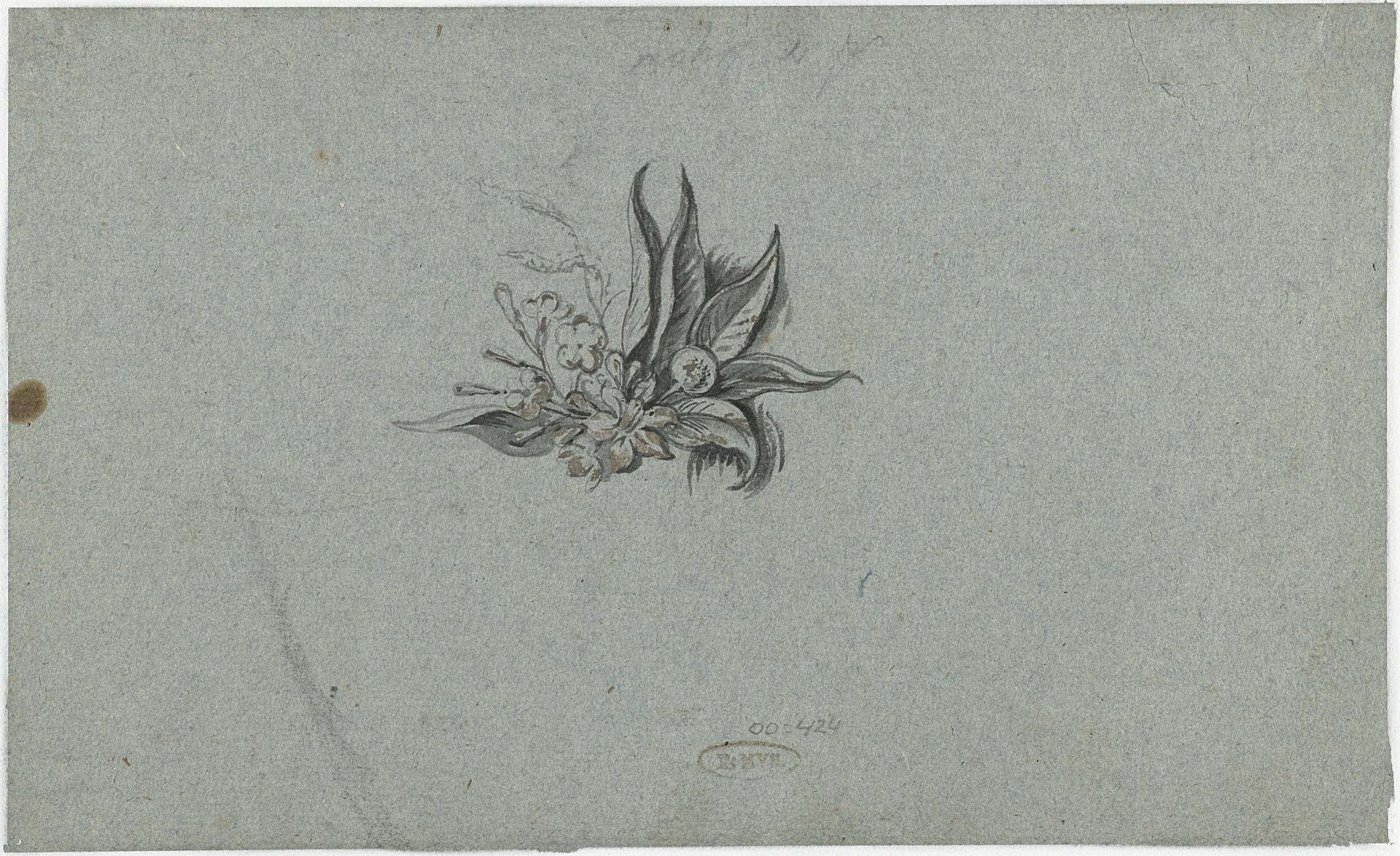 Plantstudie by Anthony van Dyck