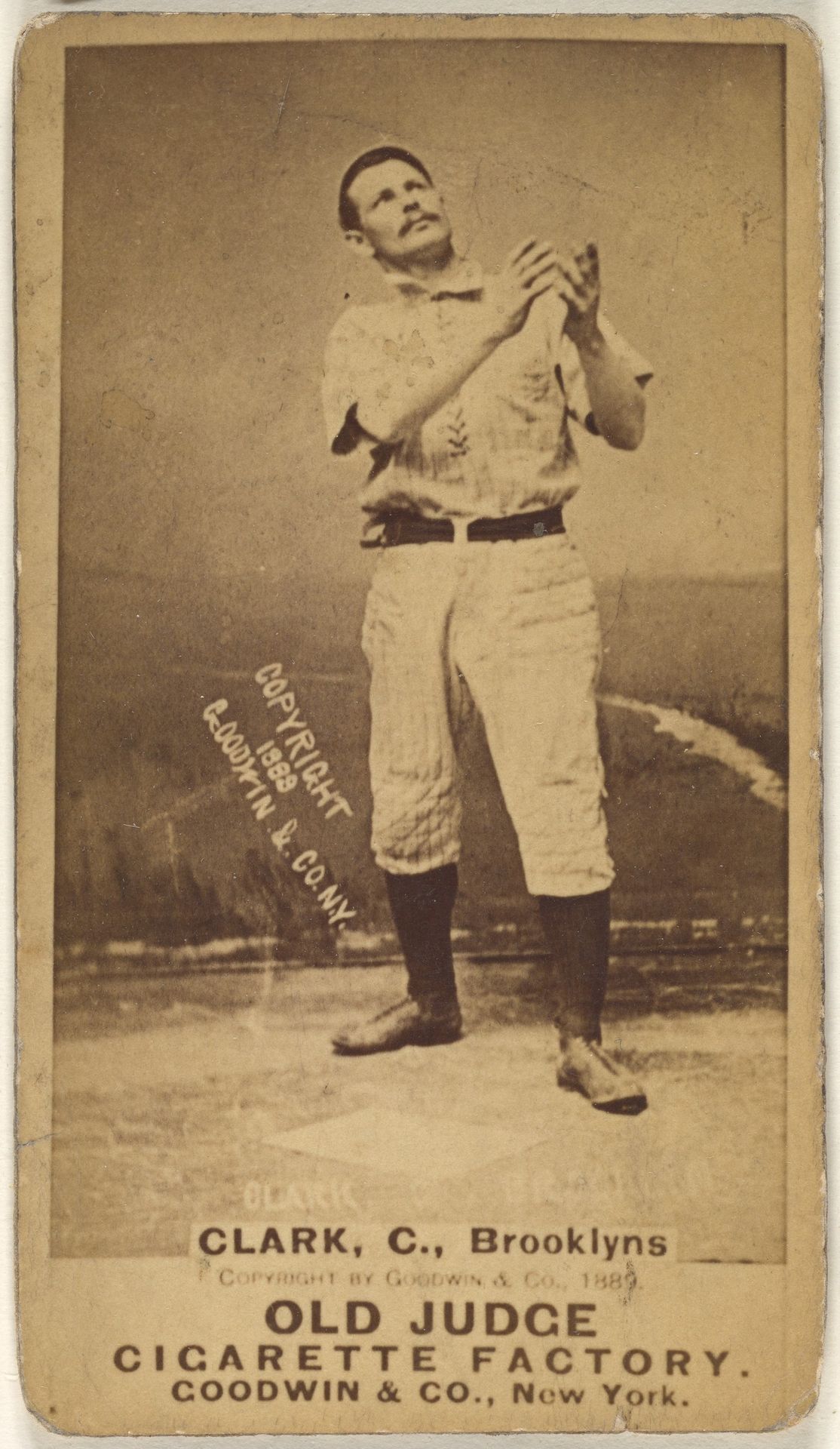 Clark, Catcher, Brooklyn Bridegrooms, from the Old Judge series (N172) for Old Judge Cigarettes by Goodwin & Company