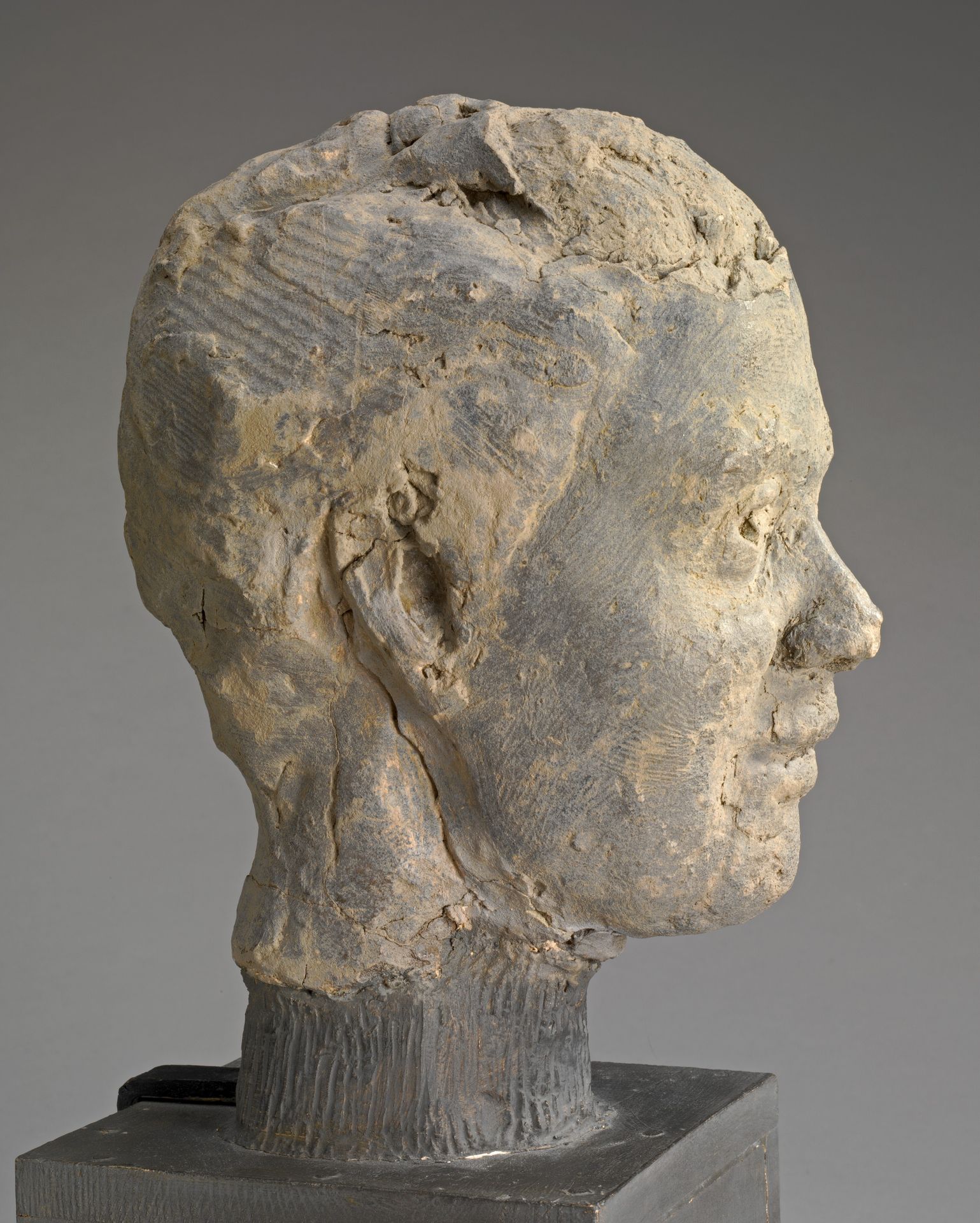Head, Study for a Portrait of Mme Salle by Edgar Degas