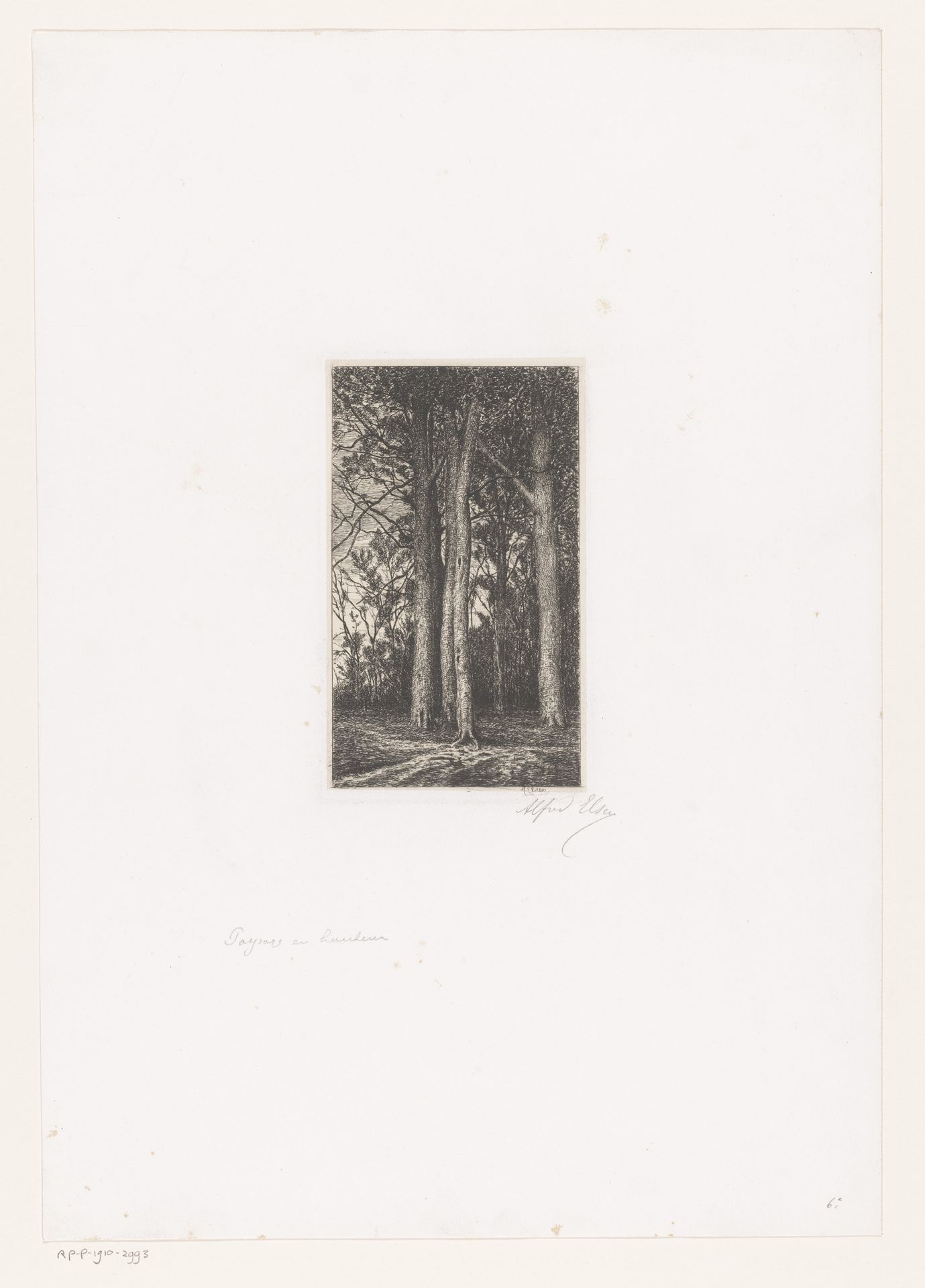 Bosgezicht met hoge bomen by Alfred Elsen