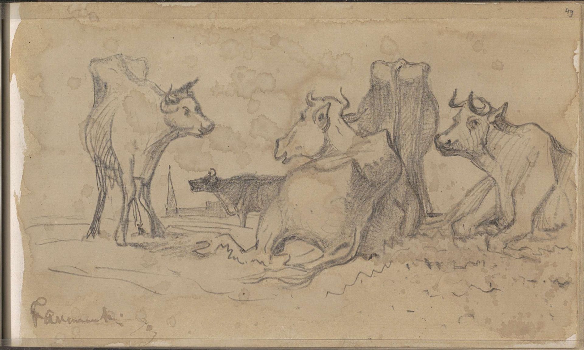 Koeien in een weiland by Johannes Tavenraat