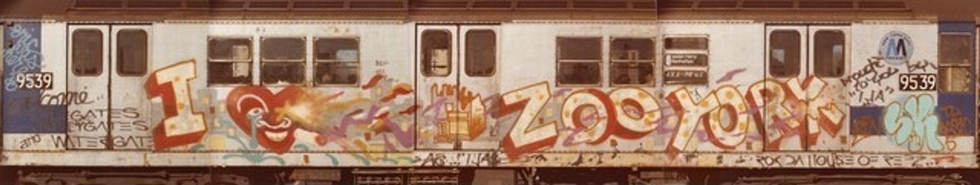 I Love Zoo York by Ali by Henry Chalfant