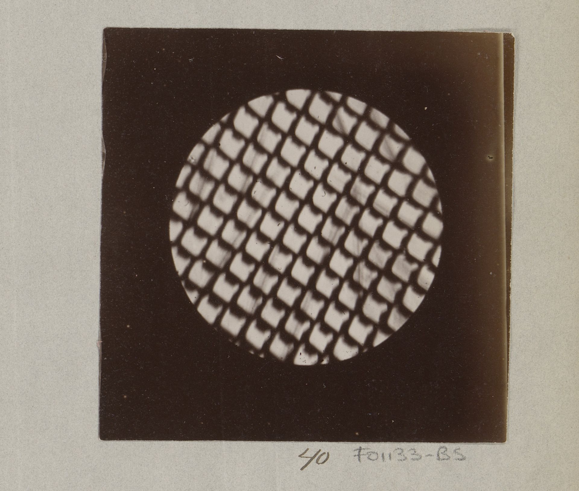 Microscopische opname van een vliegenoog, 170 keer vergroot by Marinus Pieter Filbri