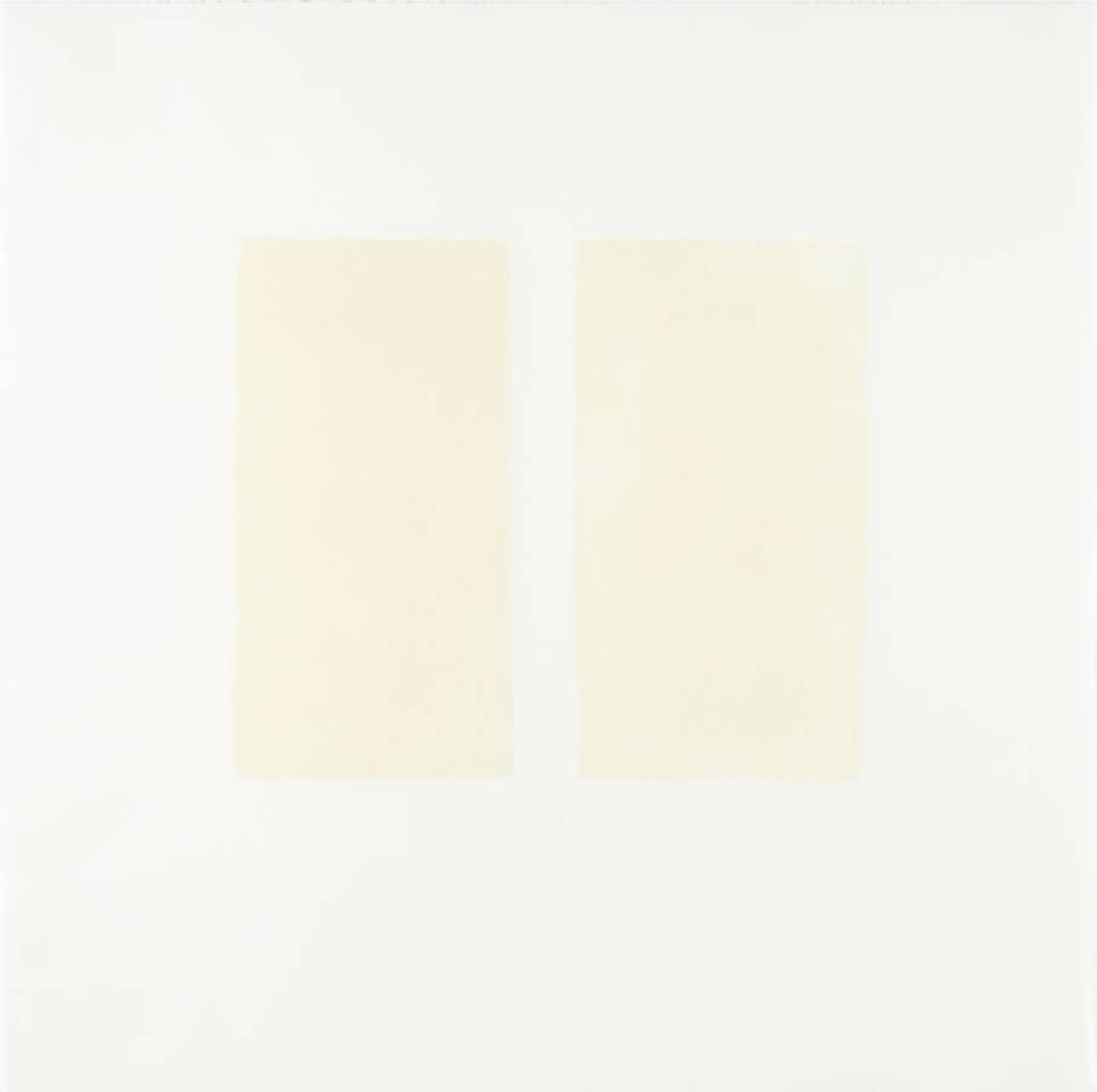 [no title] by Robert Ryman