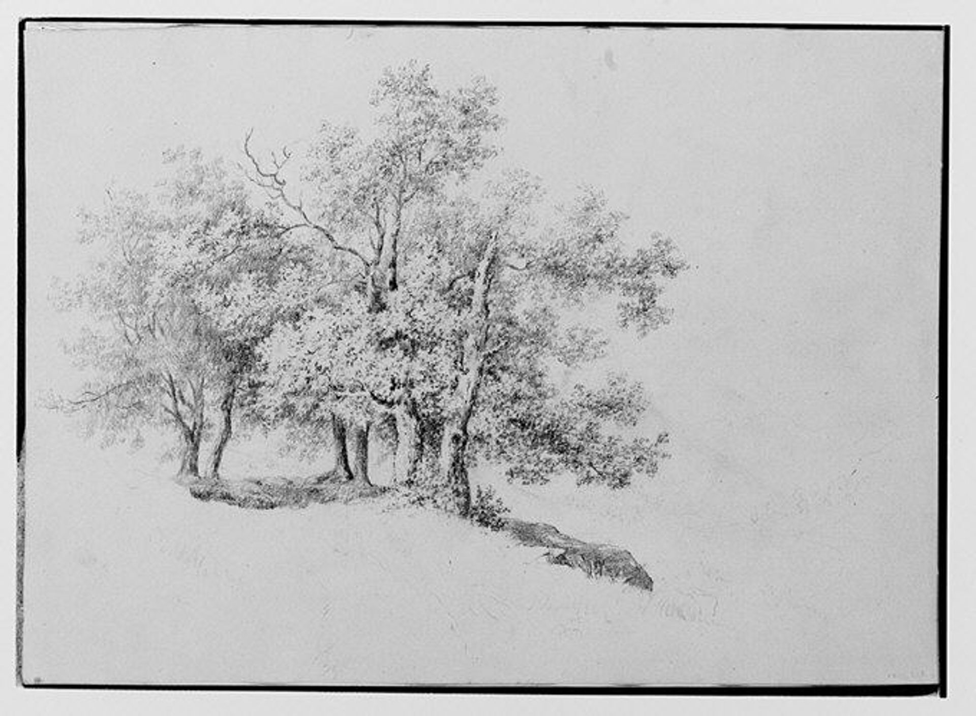 Copse of Trees on a Riverbank (from Sketchbook) by Thomas Hewes Hinckley