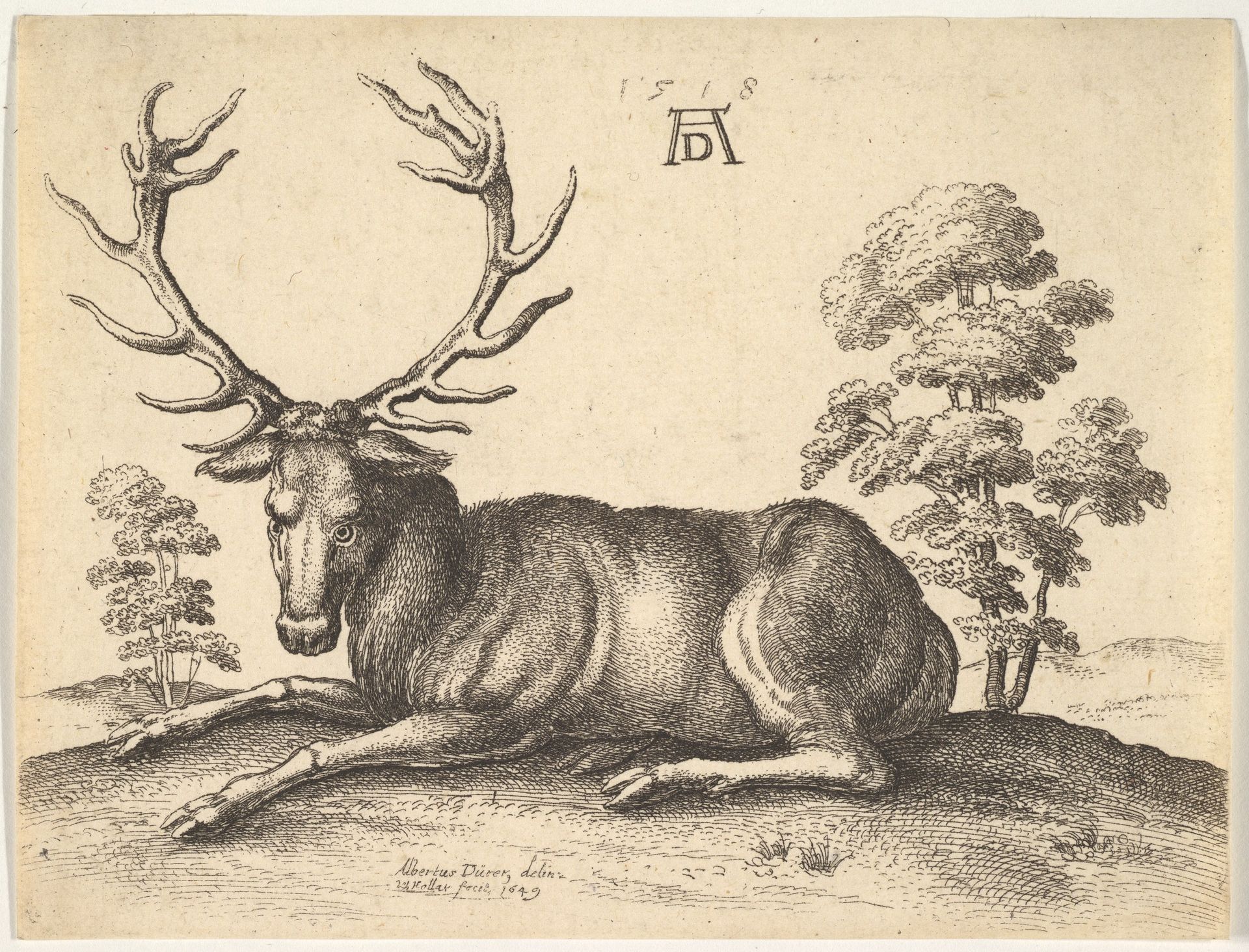 Stag lying to left by Wenceslaus Hollar