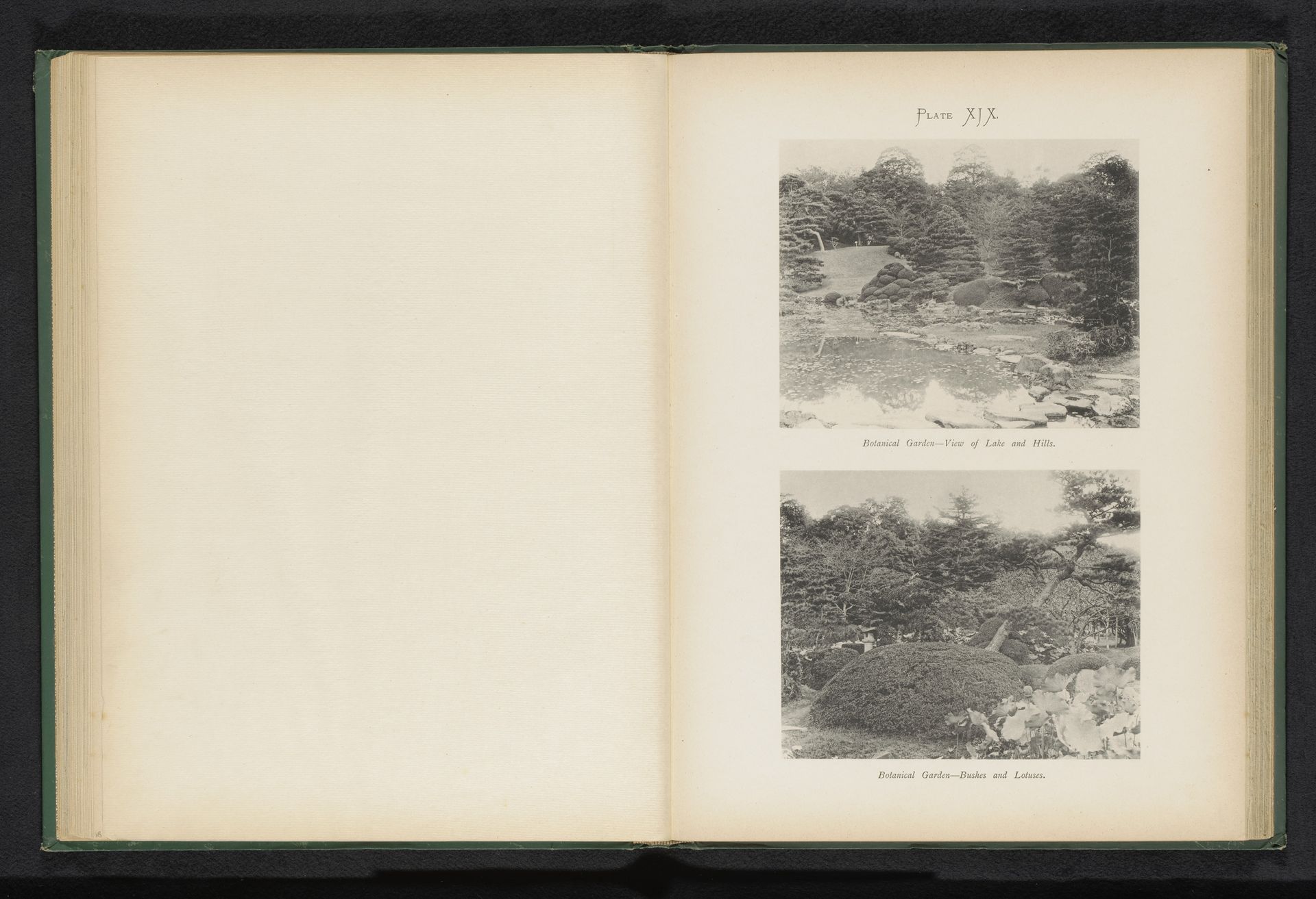 Twee gezichten op de botanische tuin van Koishikawa in Tokyo, Japan by Kazumasa Ogawa