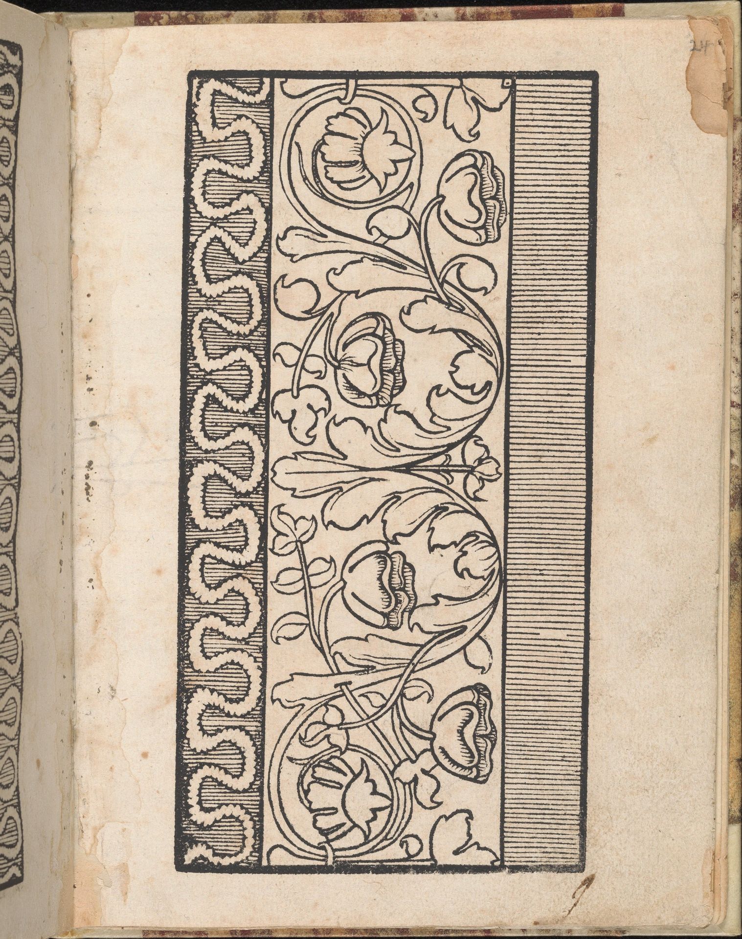 Ein new getruckt model Büchli...Page 24, recto by Johann Schönsperger the Younger