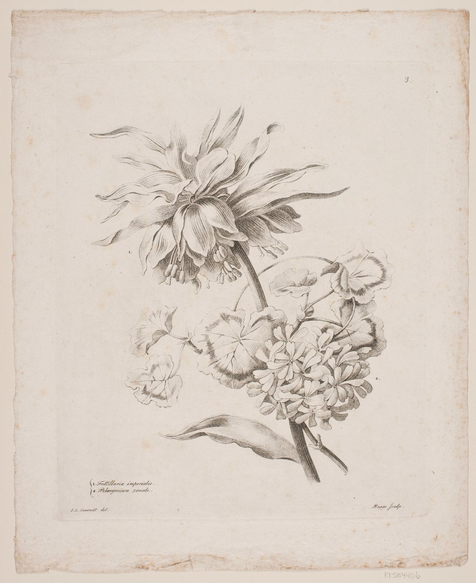 Blomster by Oluf Olufsen Bagge