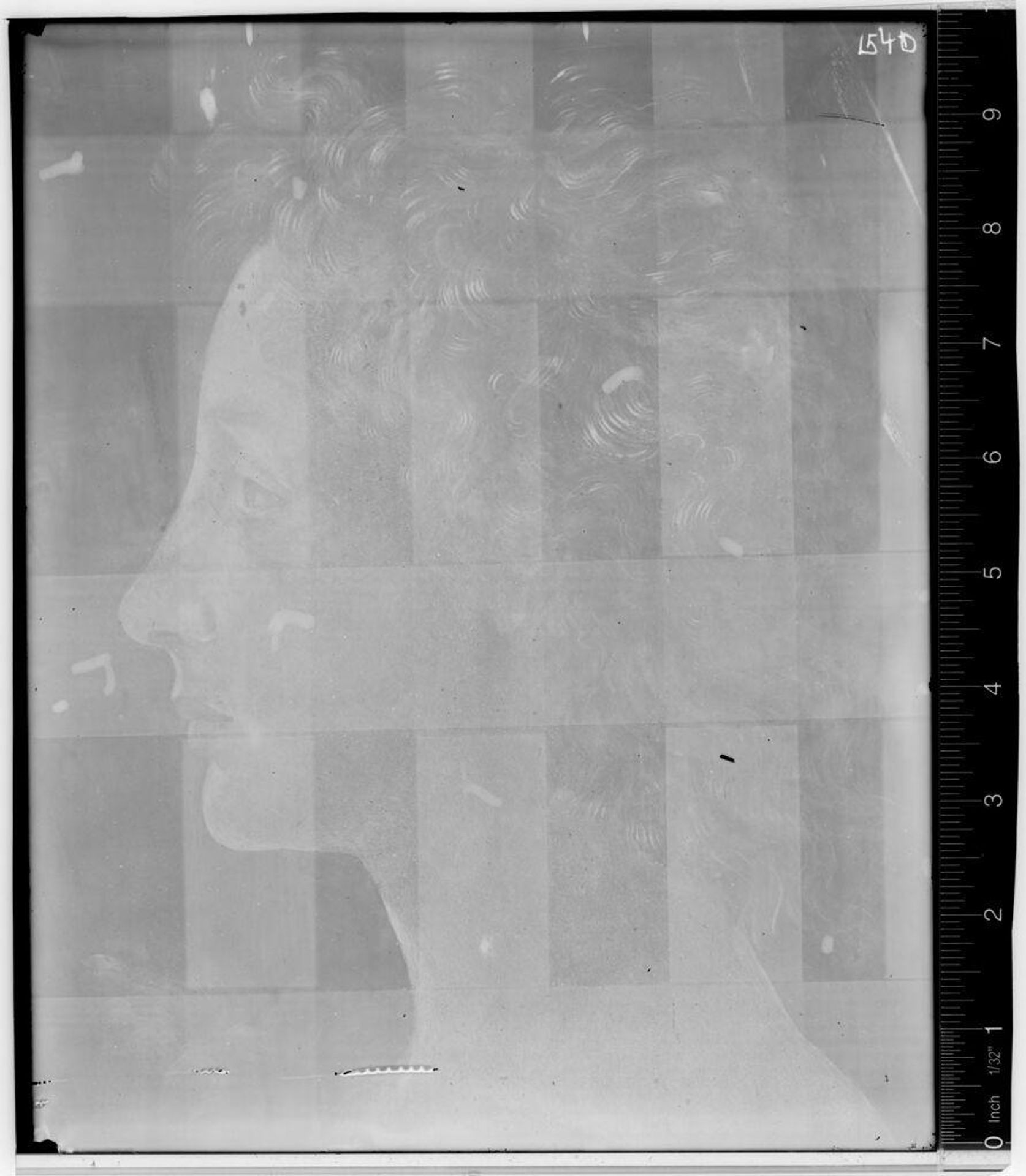 X-radiograph(s) of "St. John the Baptist" by Artist of original: Piero di Cosimo