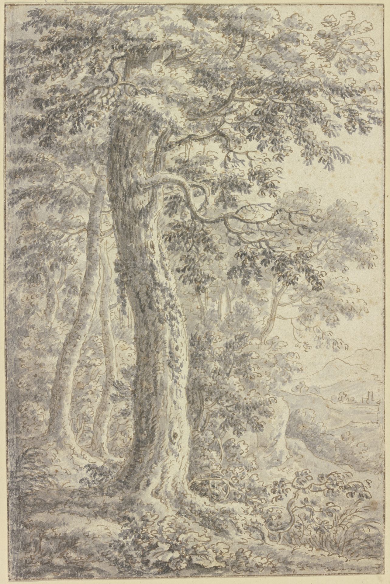 Waldlichtung mit Ausblick in ein offenes Tal by Balthasar Anton Dunker