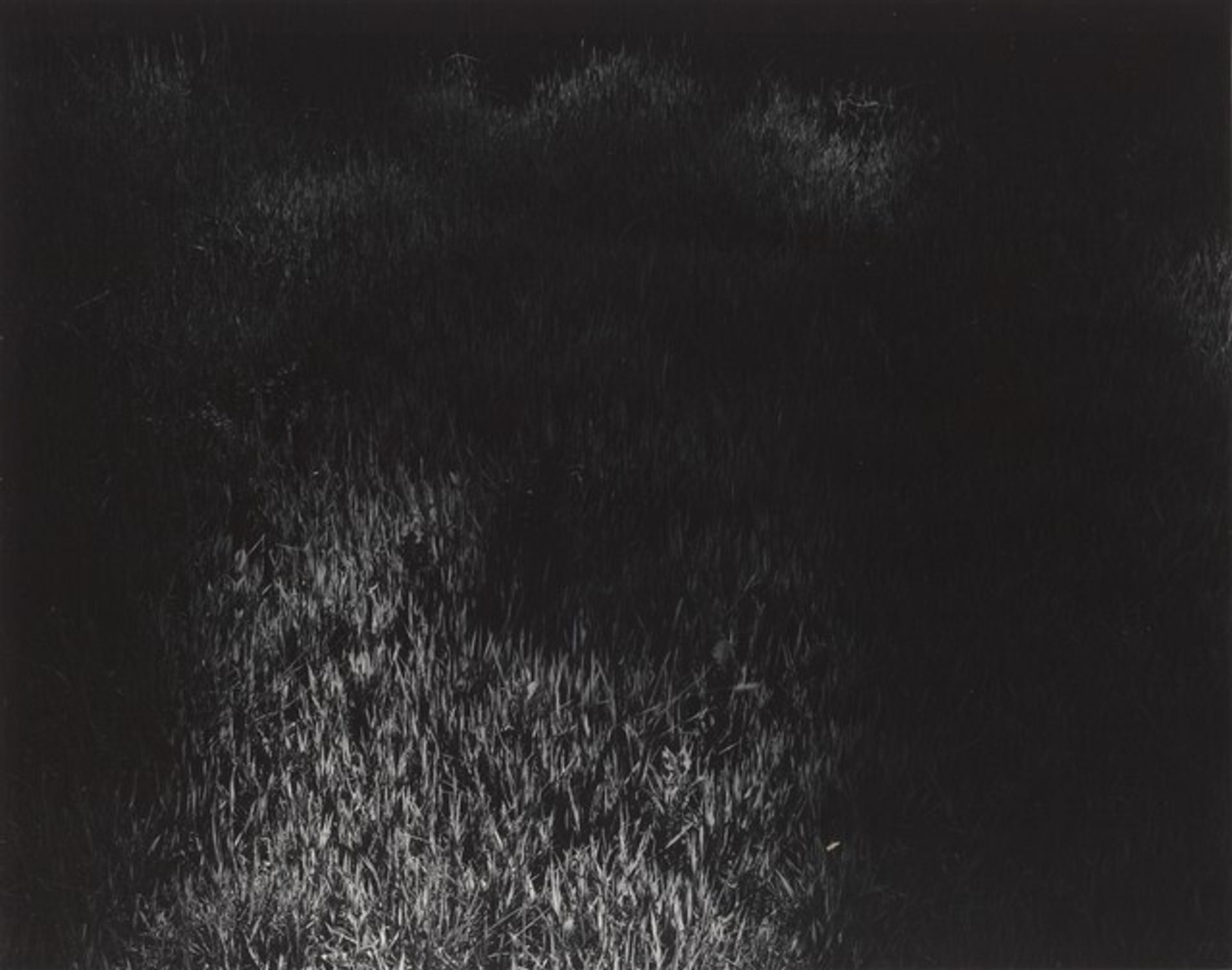 Aix-en-Provence by Harry Callahan