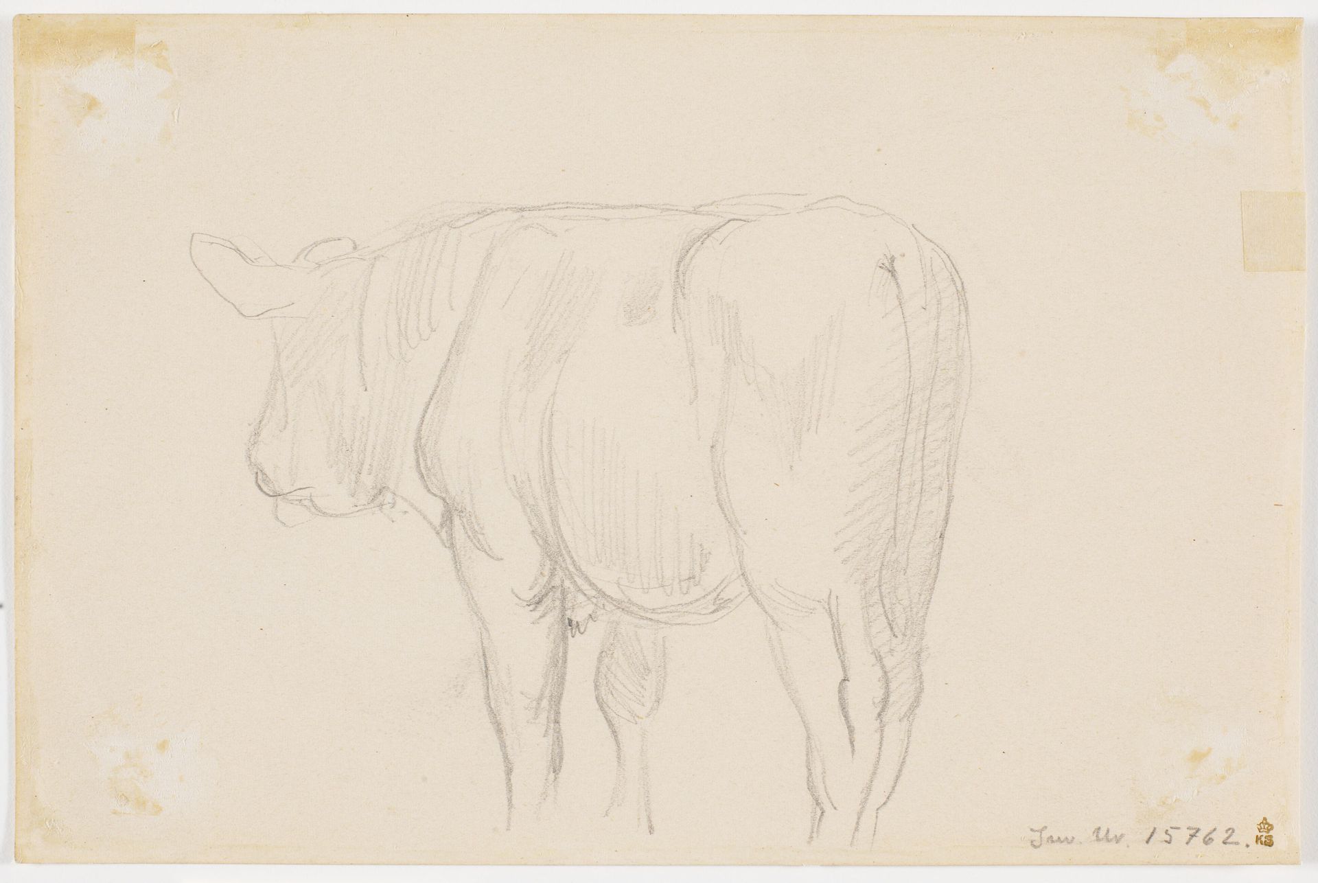 En stående ko set bagfra by Theodor Philipsen