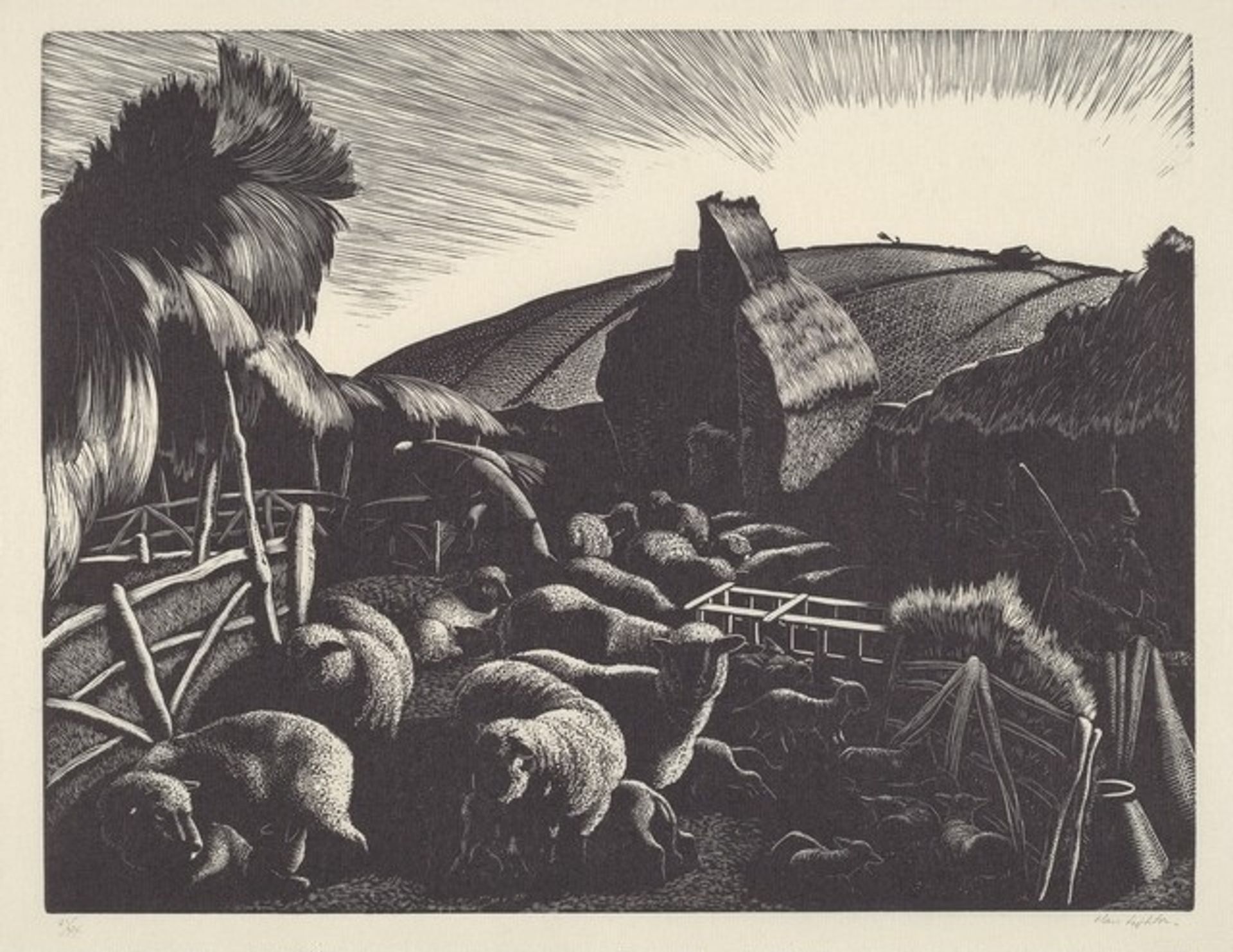 Lambing by Clare Leighton