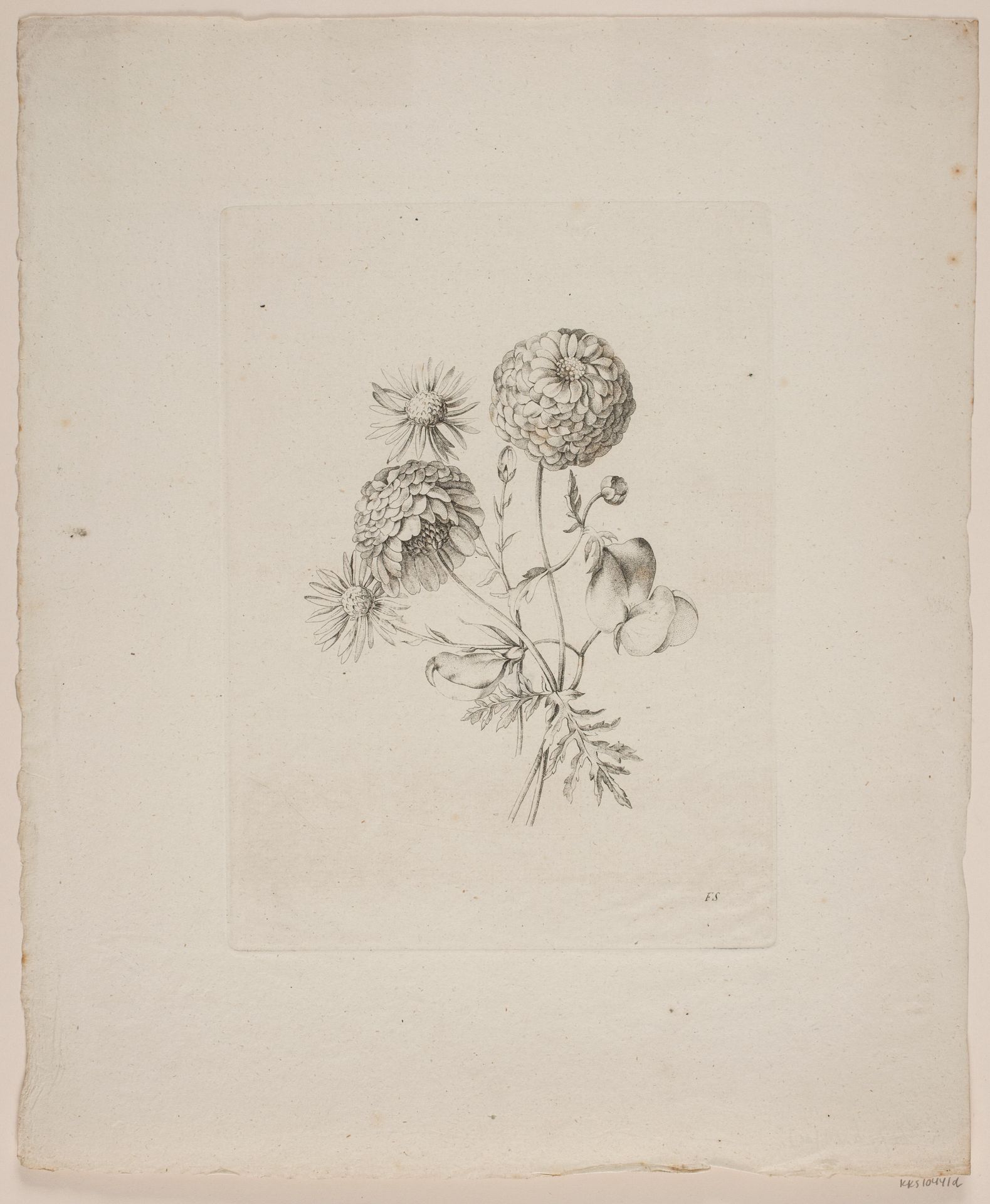 Blomstermotiv by Frederik Schepelern