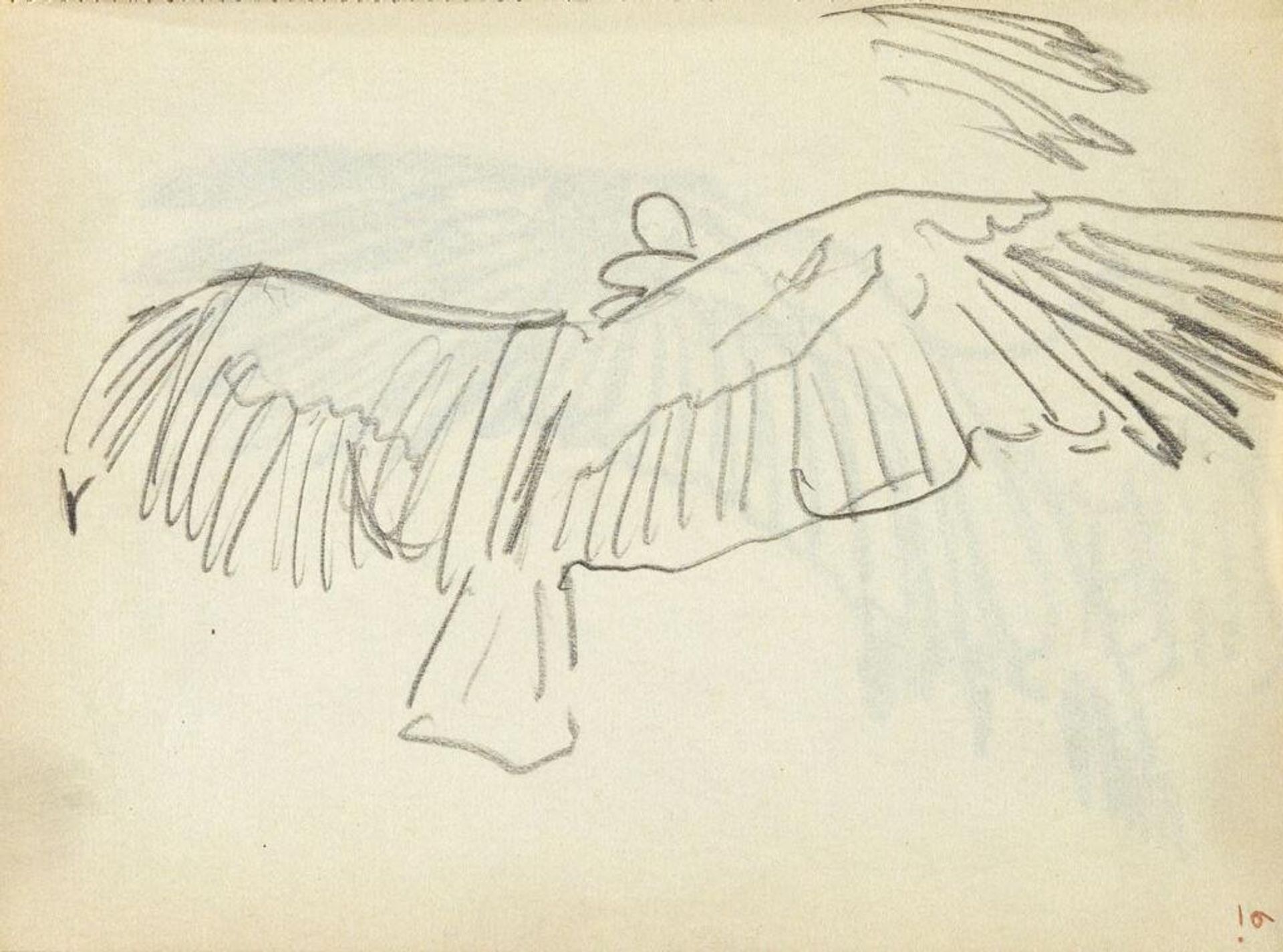 Study of a Vulture with Wings Spread by John Singer Sargent
