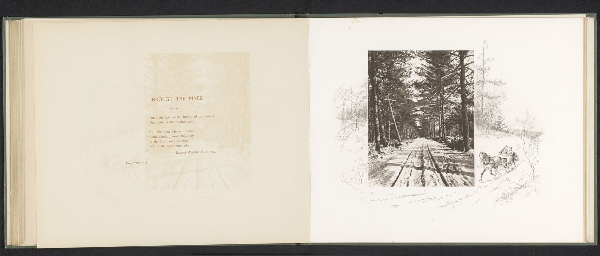 Gezicht op een bospad met sneeuw in New England by Anonymous
